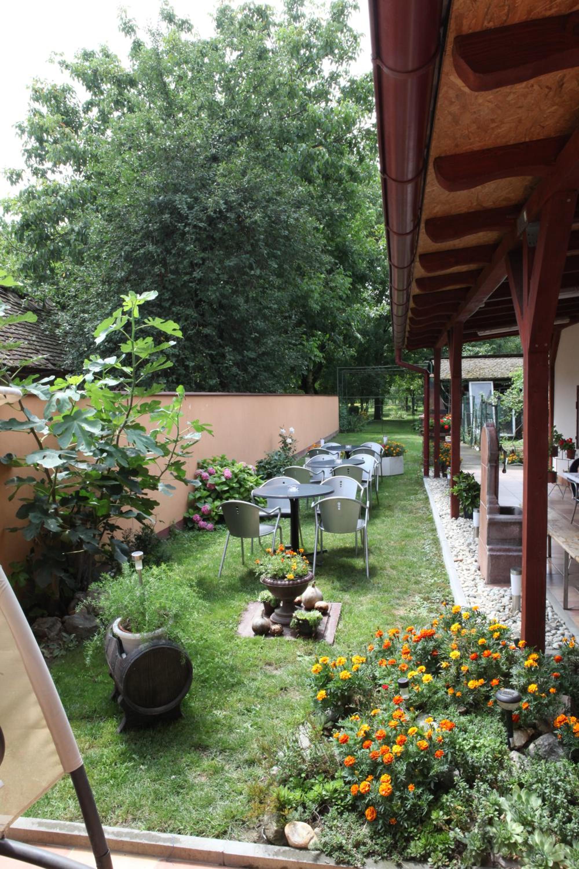Photo 7