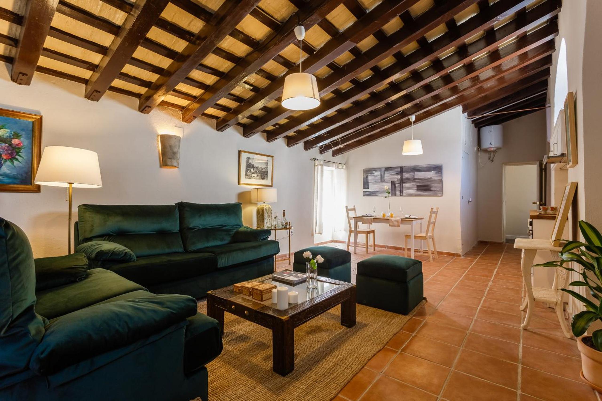 Loft Catedral Jerez view 4