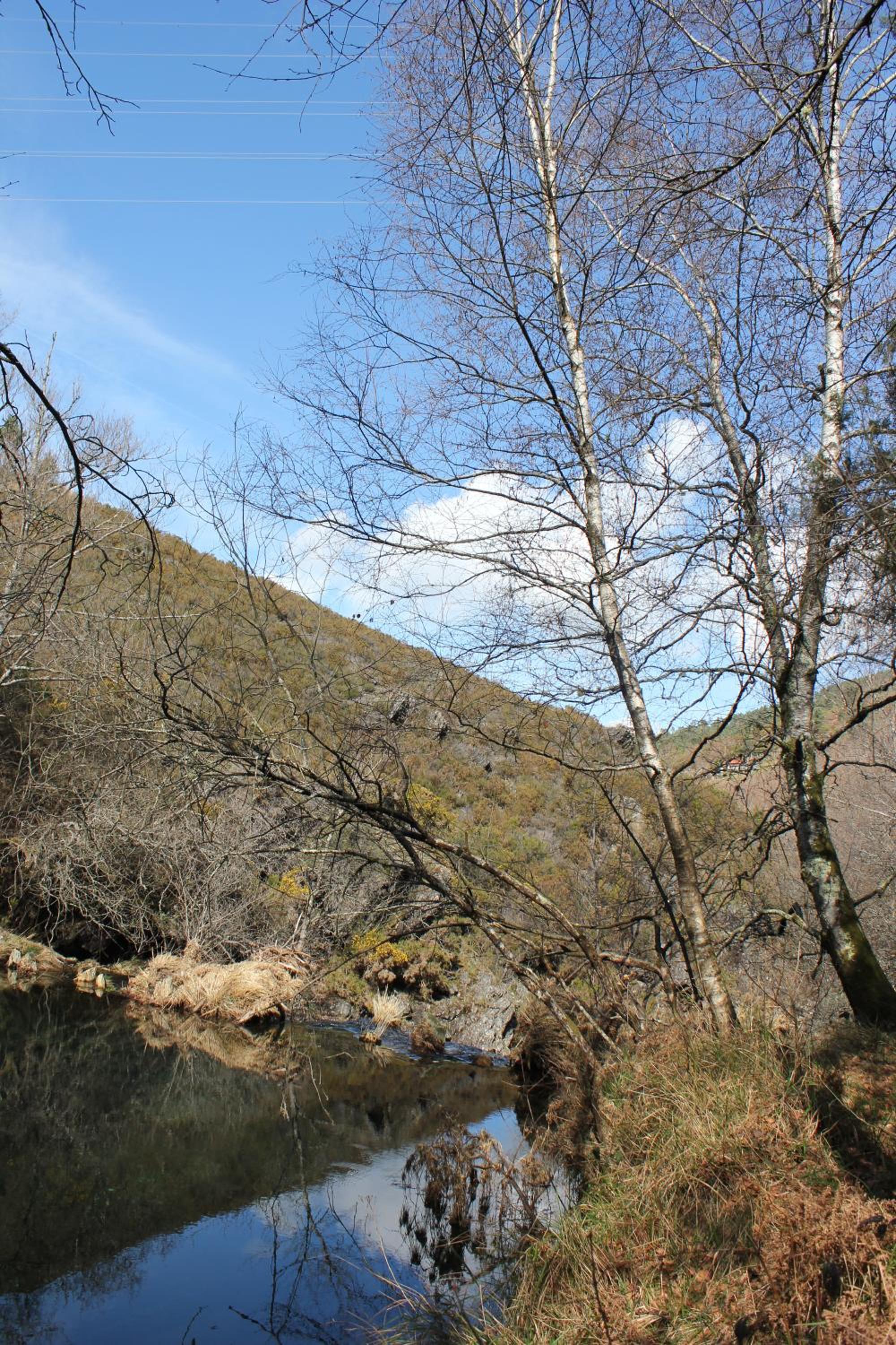 Photo 33