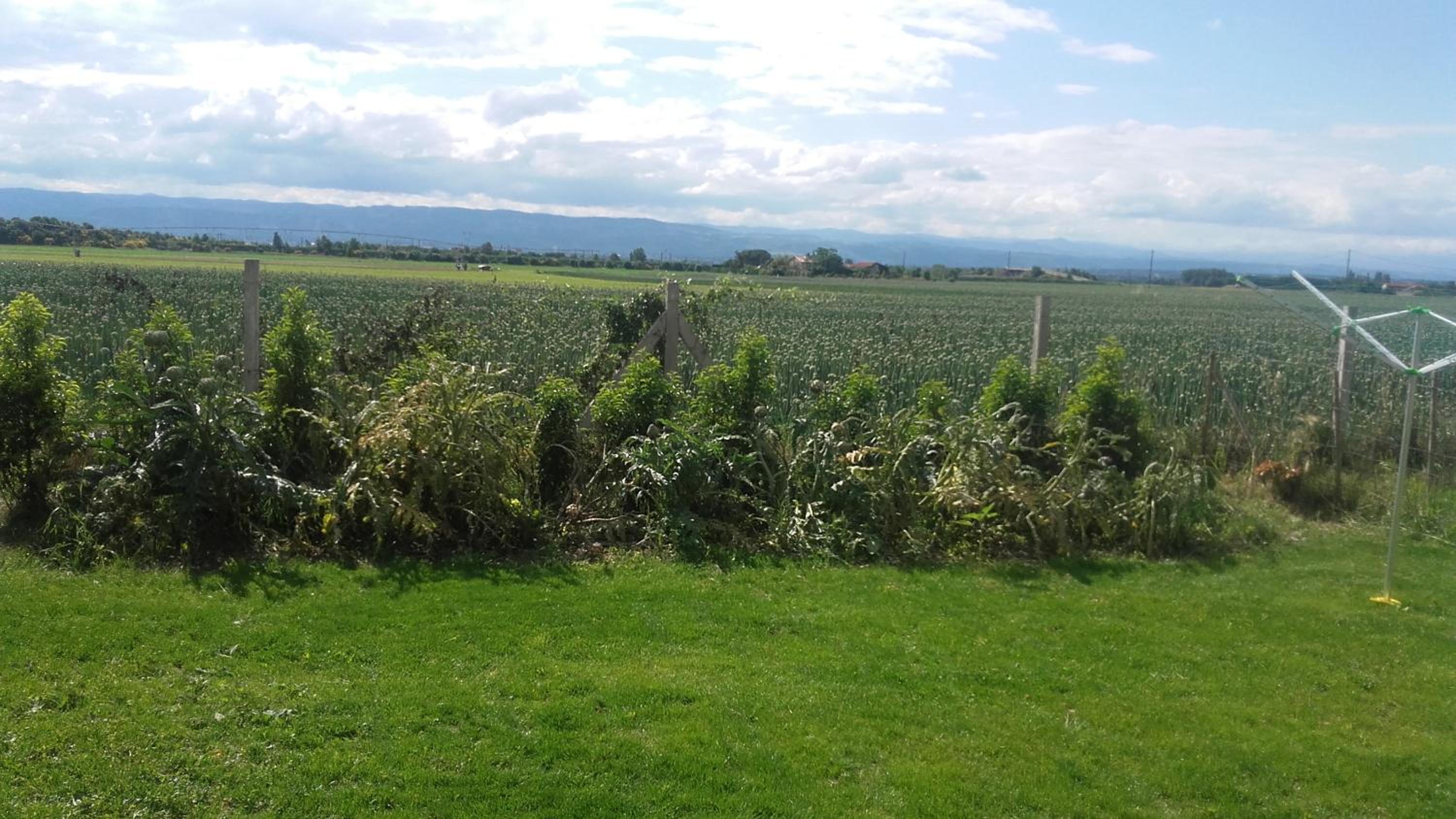 GITE LA CLE DES CHAMPS, photo 20