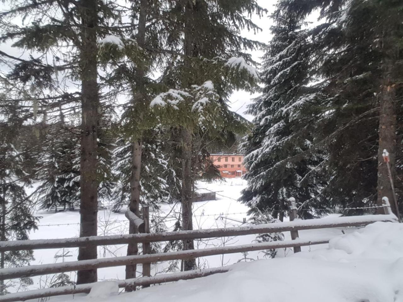 Studio Apartman ARAS