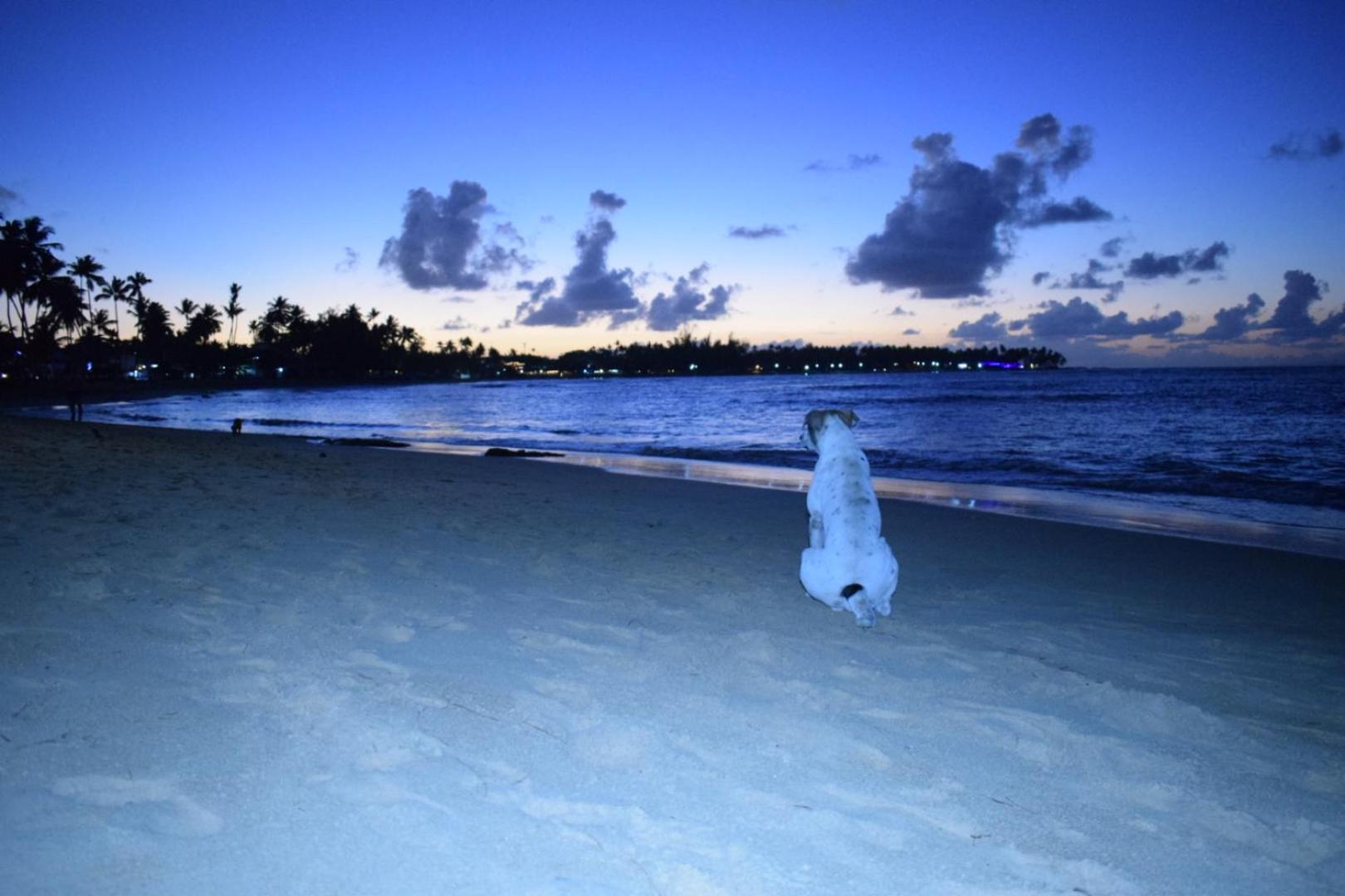 La Dolce Vita 12 Beachfront Hotels, Las Terrenas, Samana