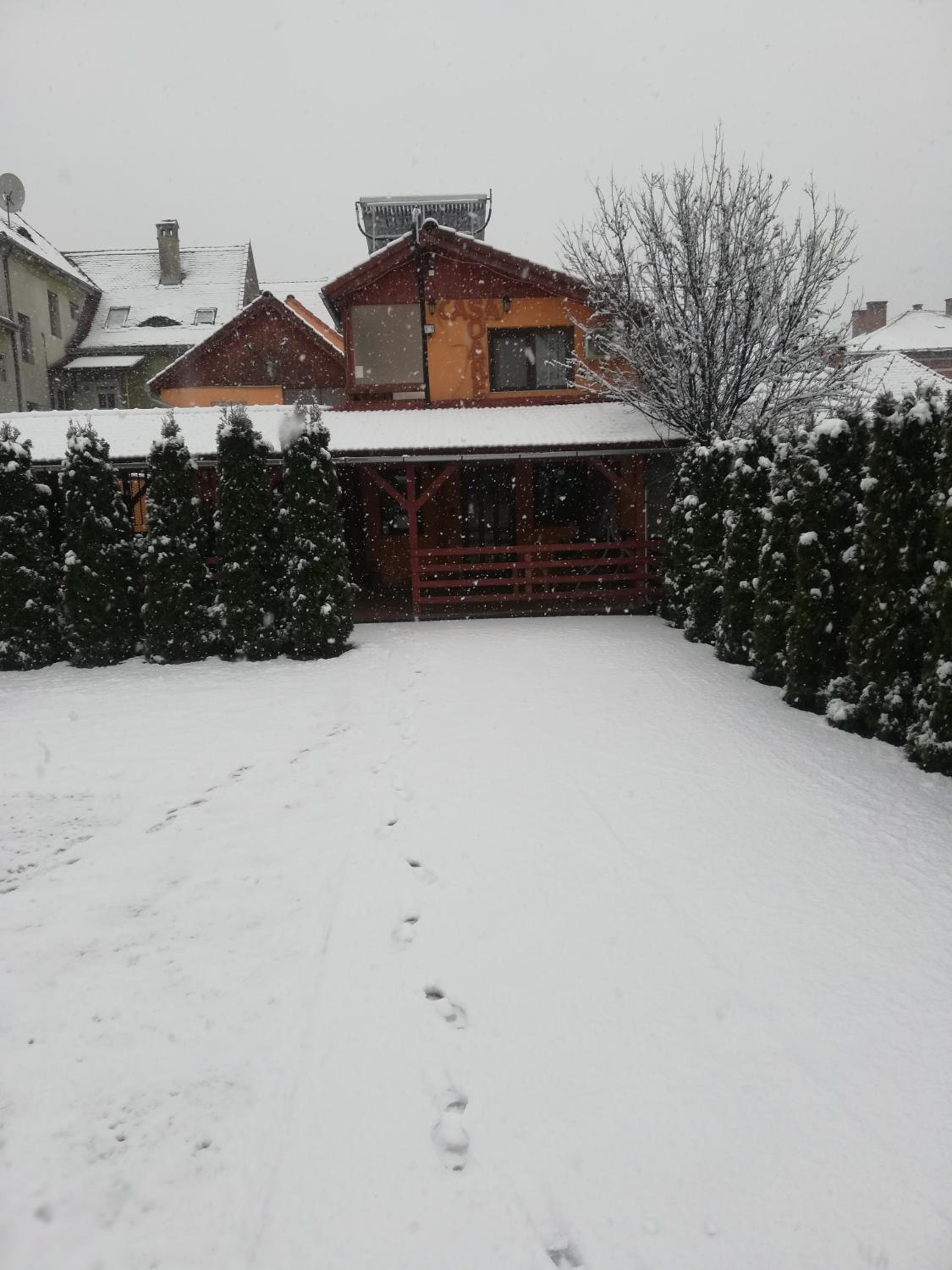 Photo 31