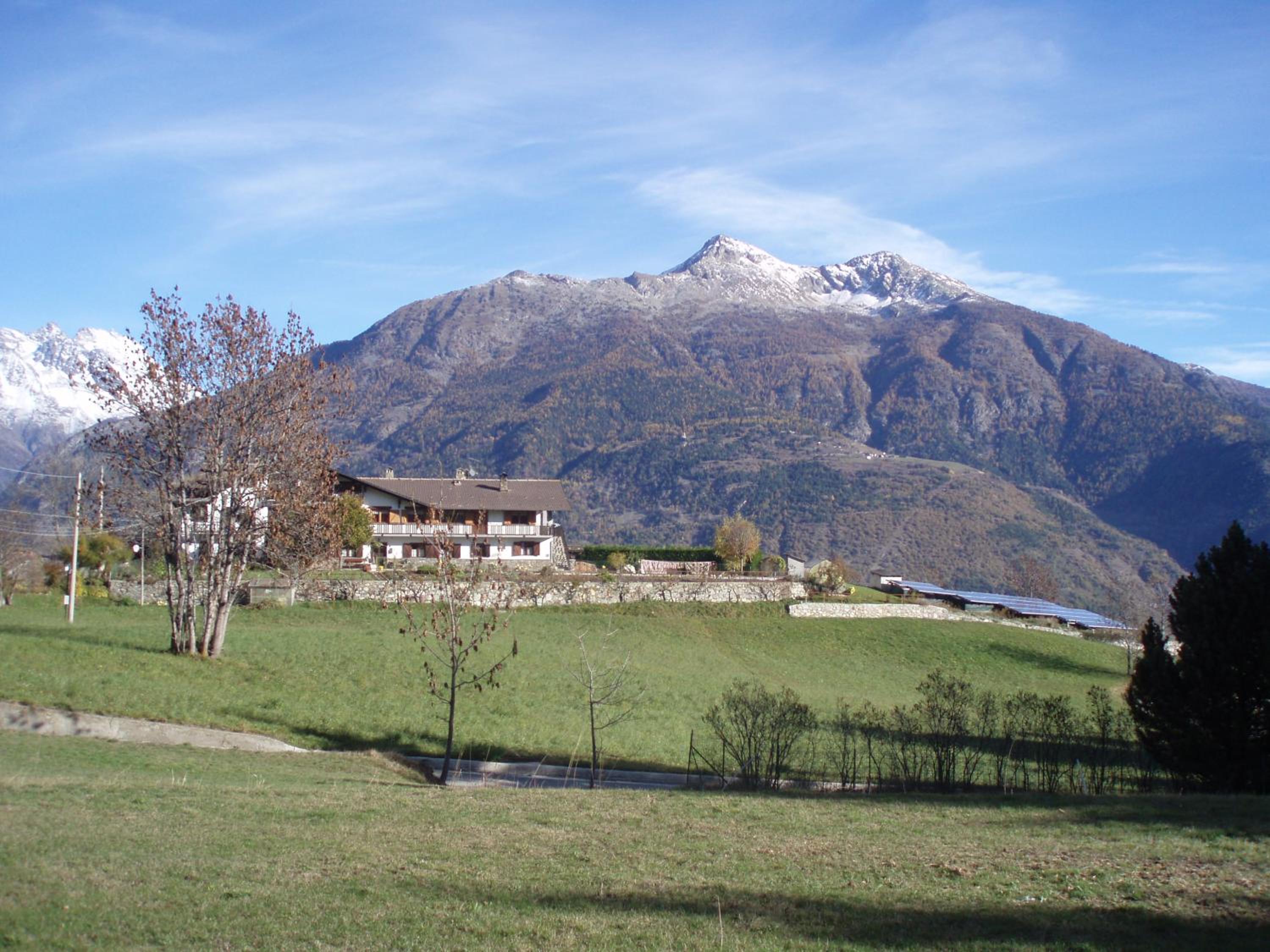 Photo 25