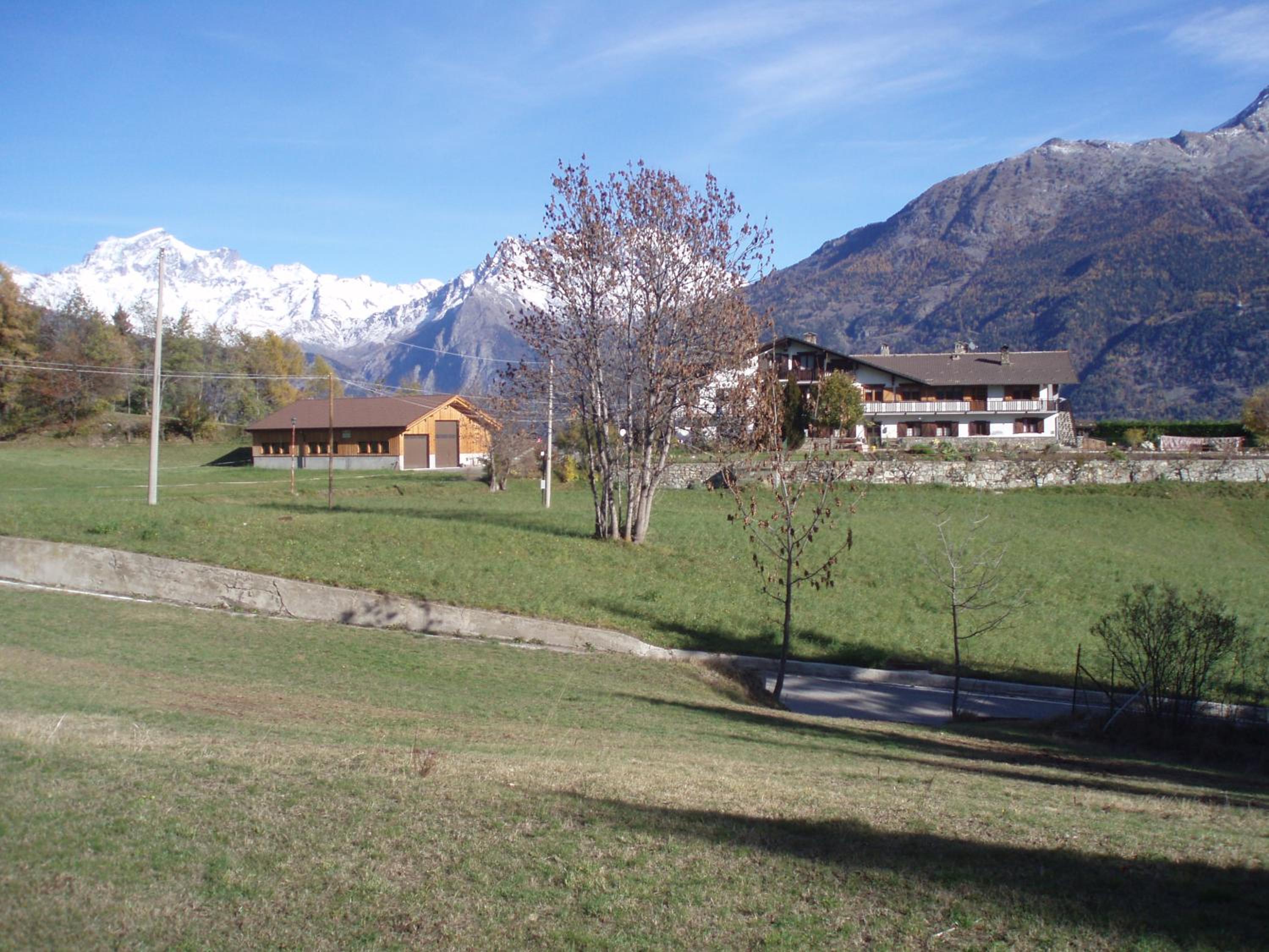 Photo 6