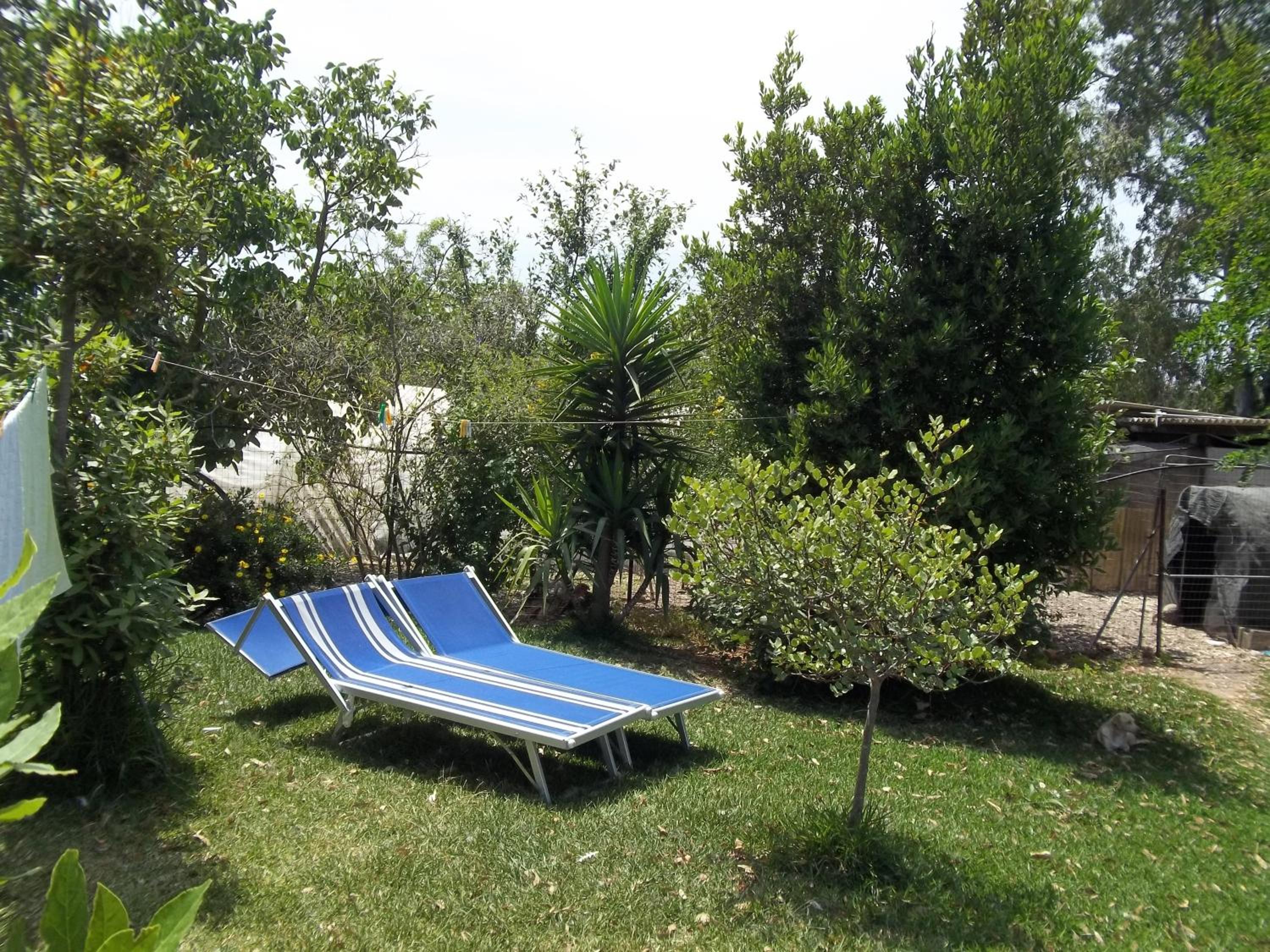 Il Vecchioliveto di Ornella photo 4