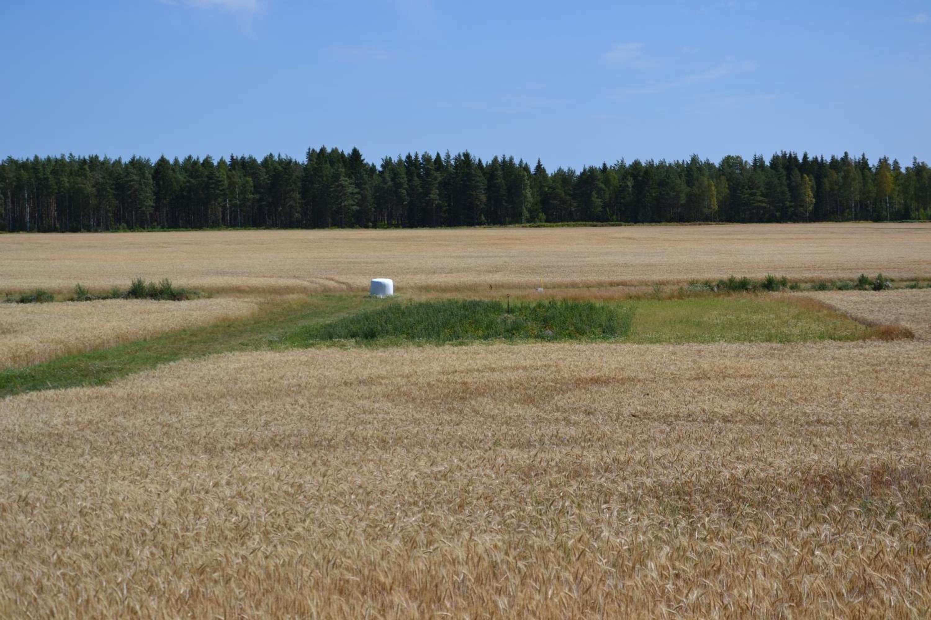 Värmlandsnäs Valdersrud Stenröse view 2