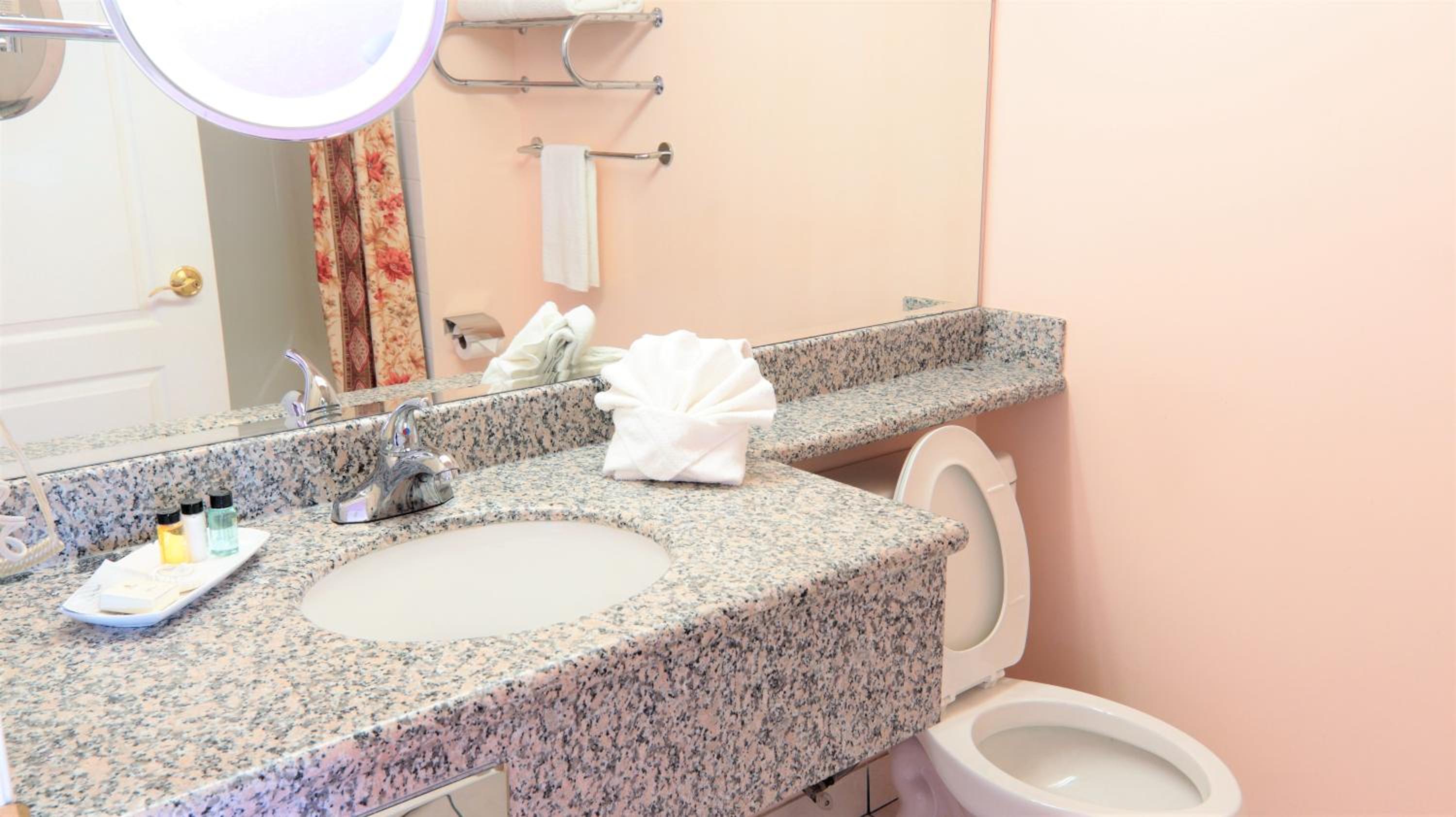 Leduc Vacations - Crystal Star Inn Edmonton Airport with free shuttle to and from Airport - Property Image 4