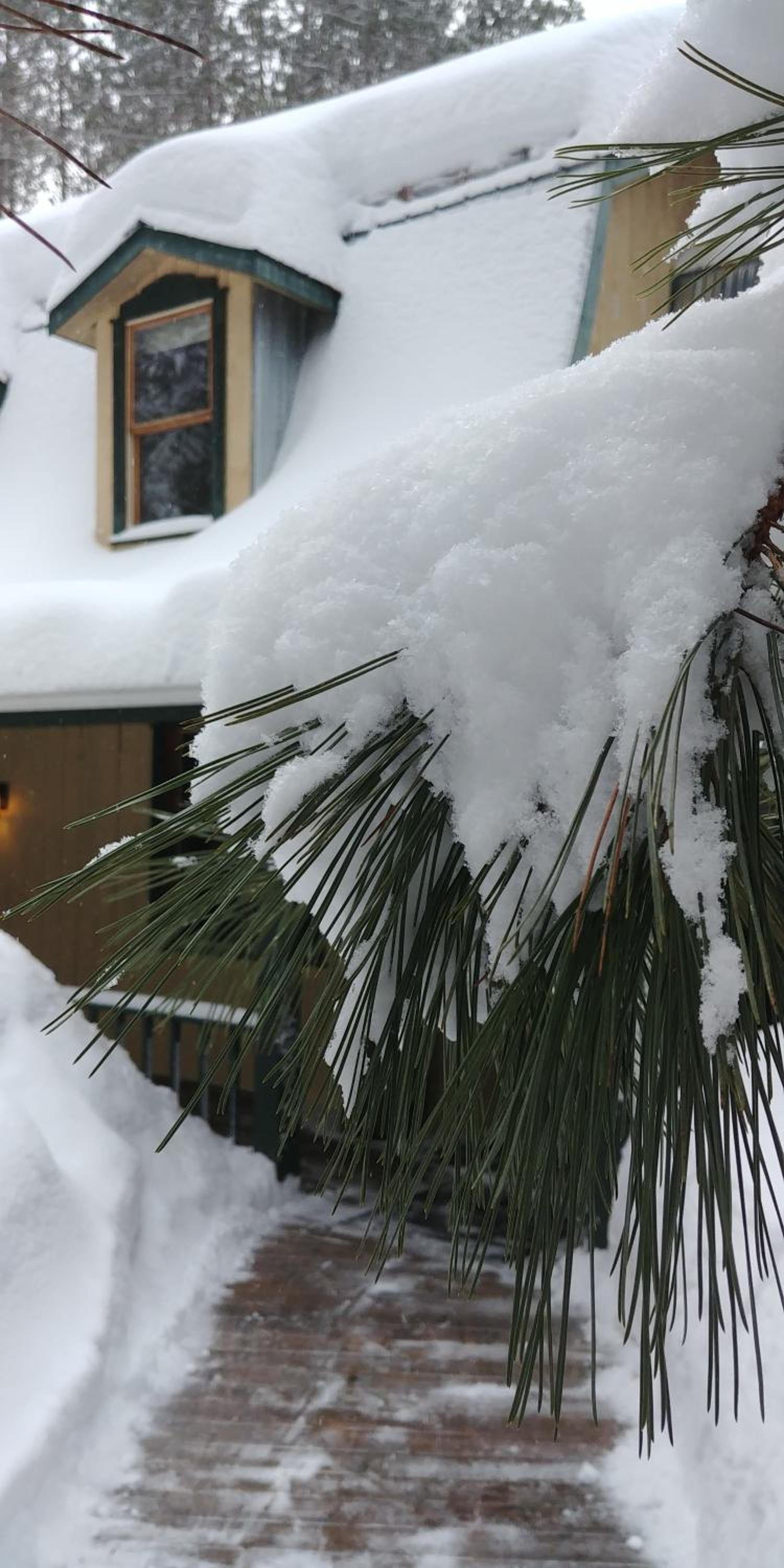 Auberge le Cosy Tremblant