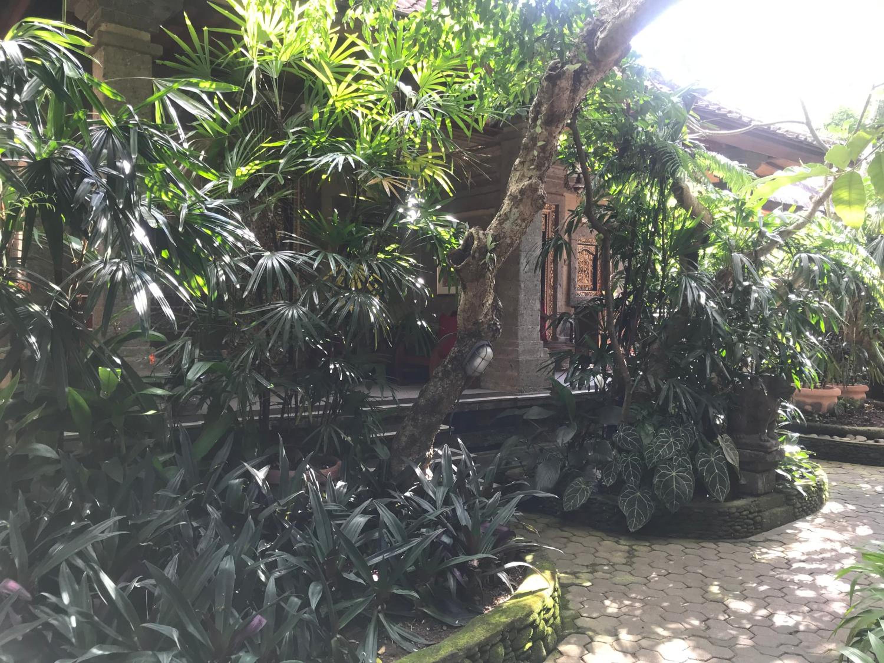 Nirvana Pension