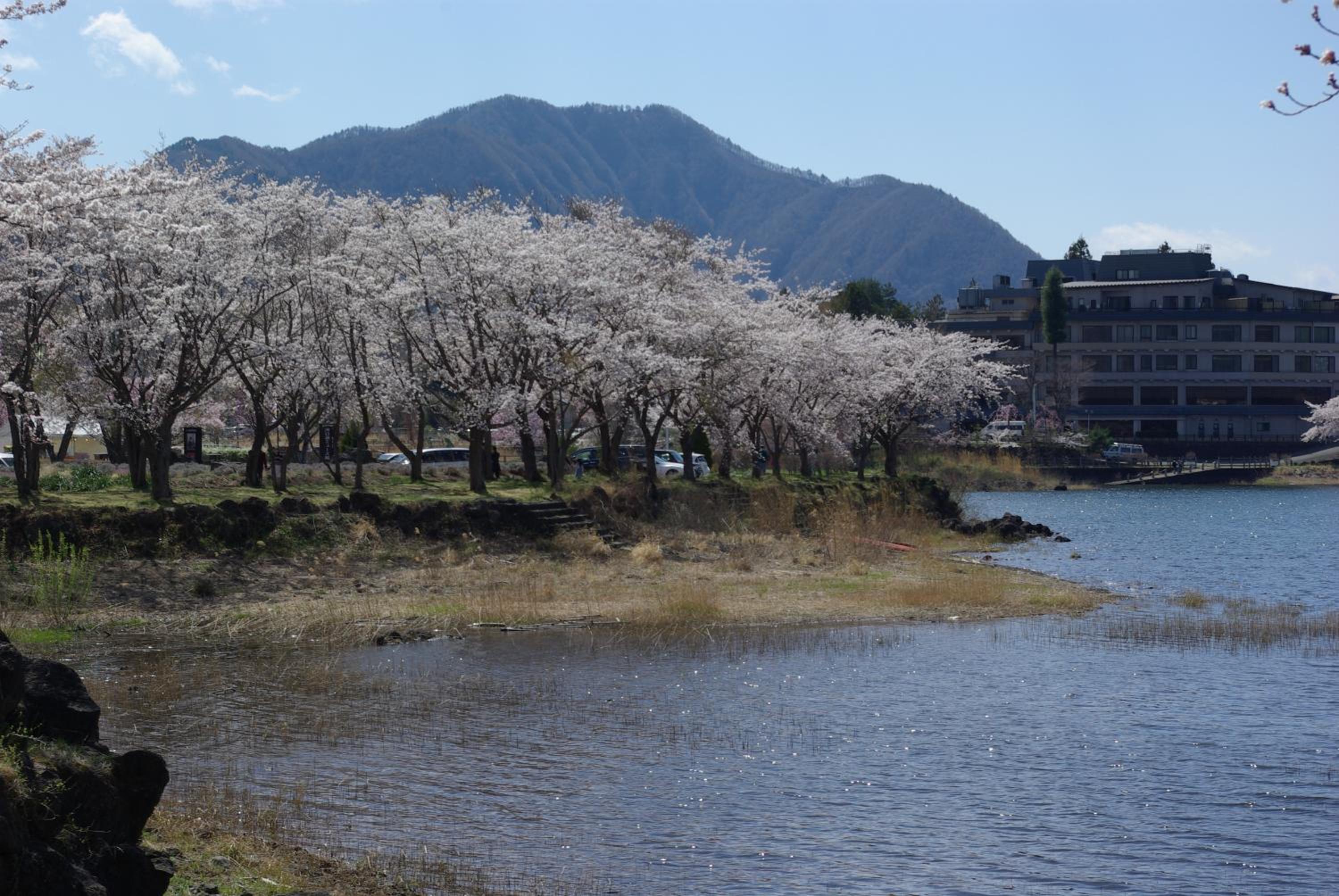 Togawaso