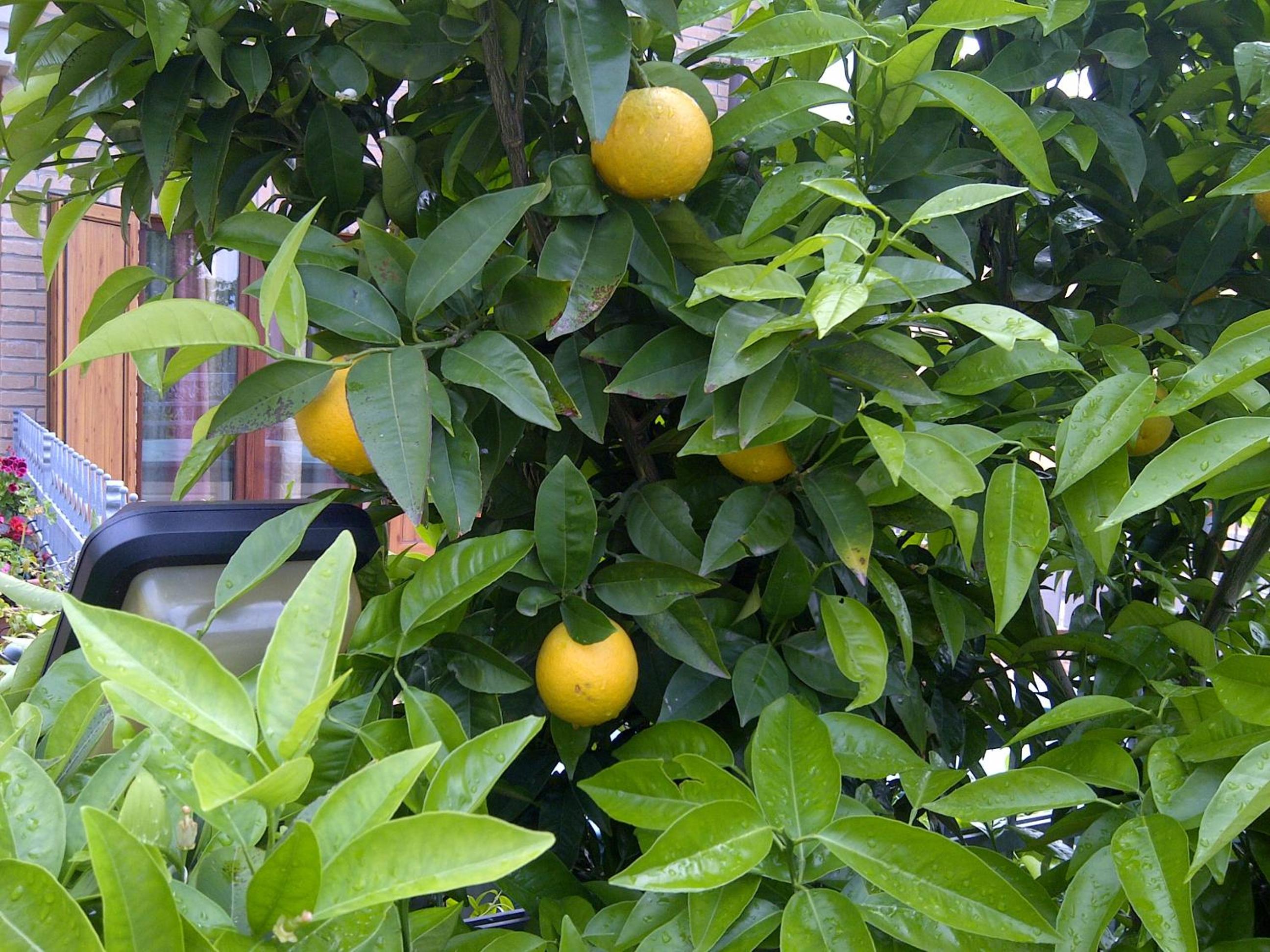 Photo 32