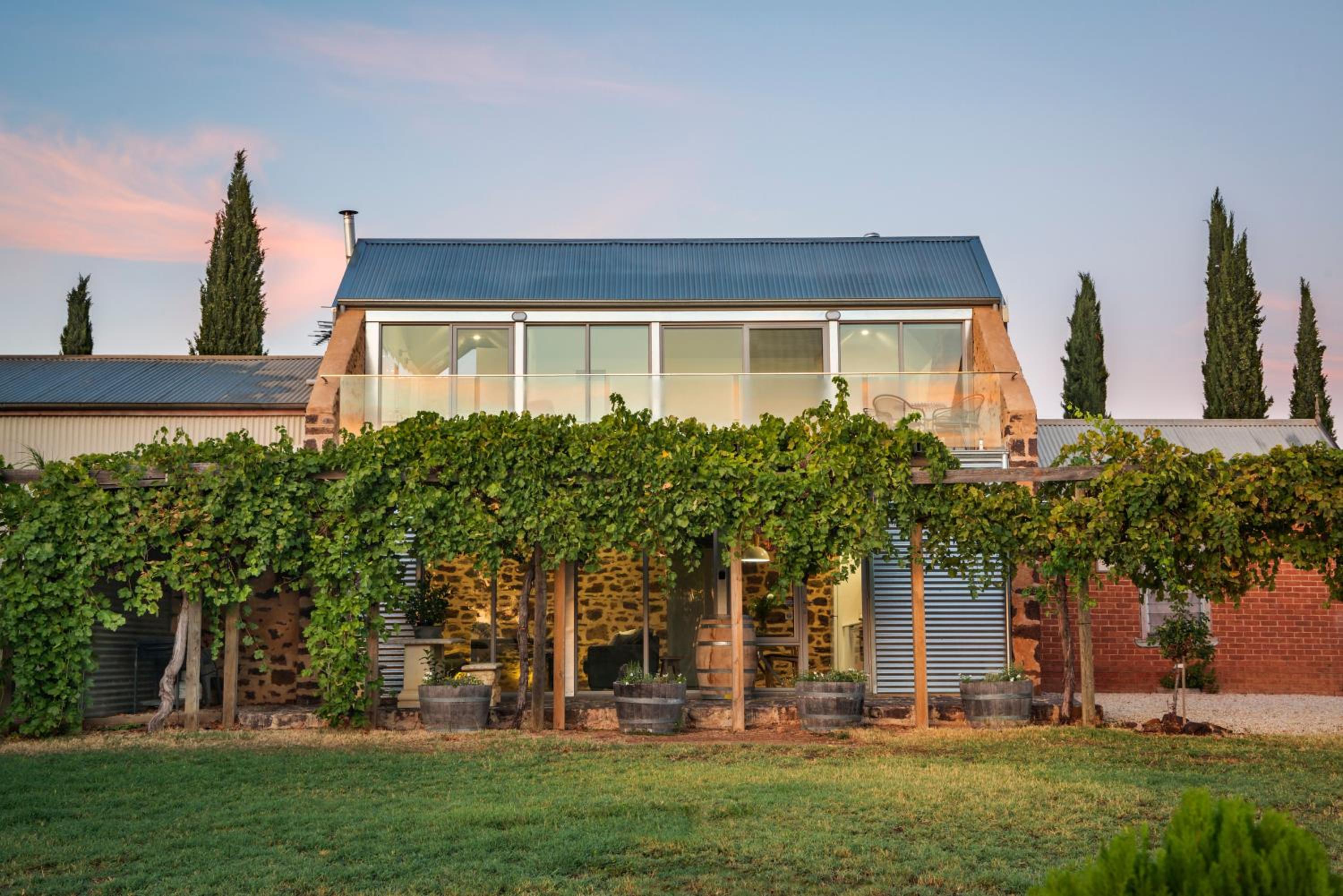Barossa Shiraz Estate view 5