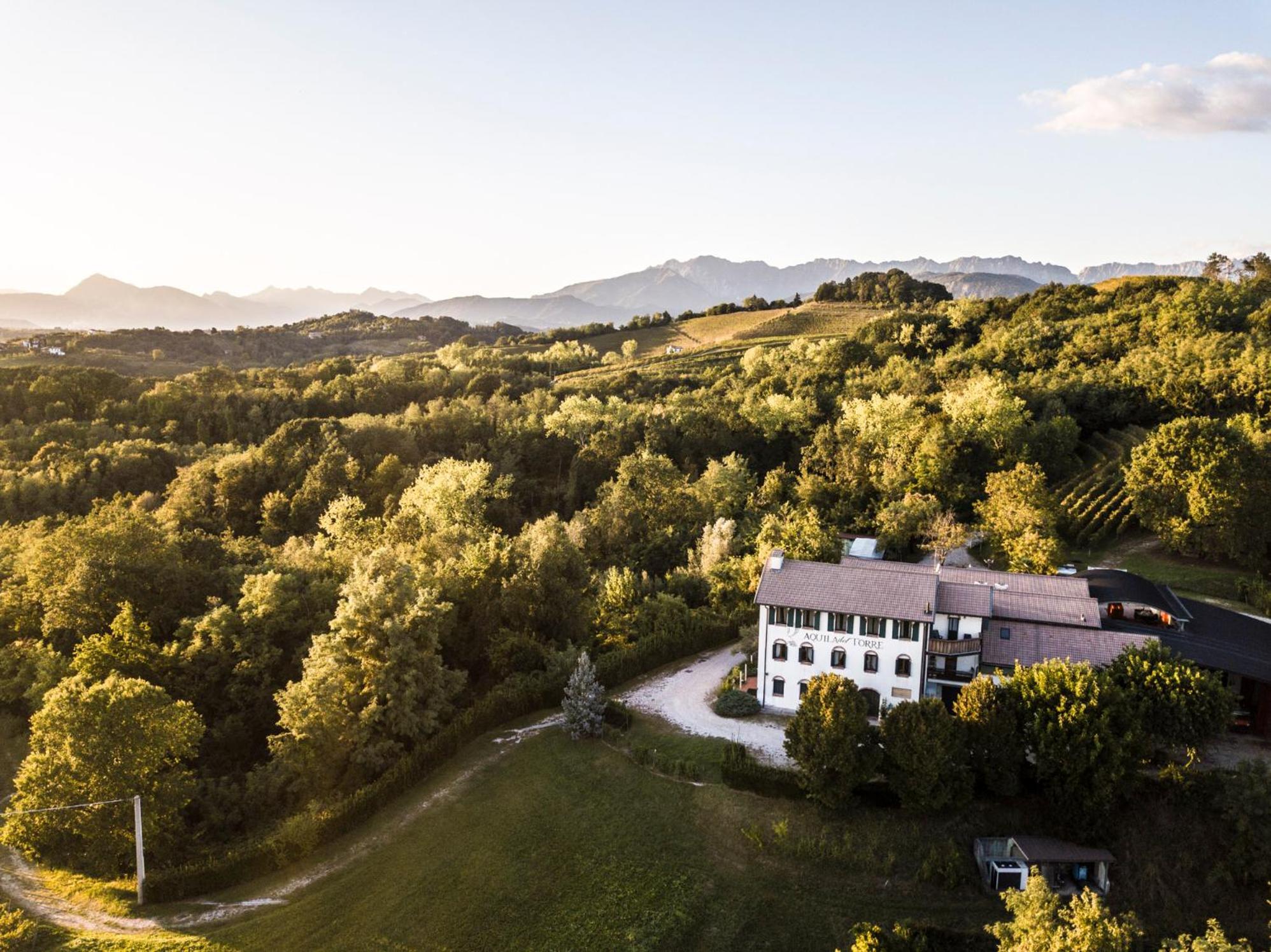 Oasi Picolit view 2
