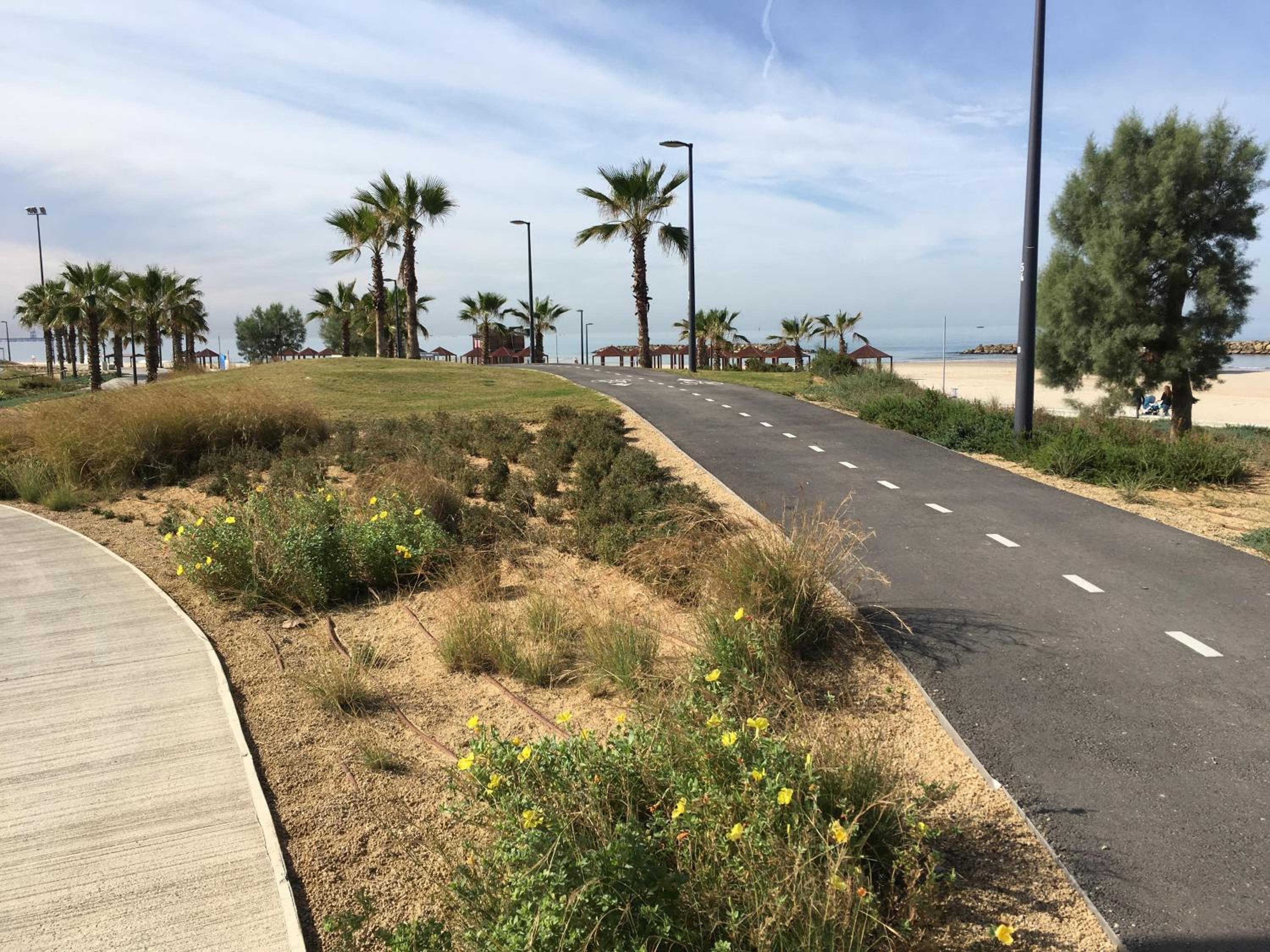 Marina Breeze, photo 10