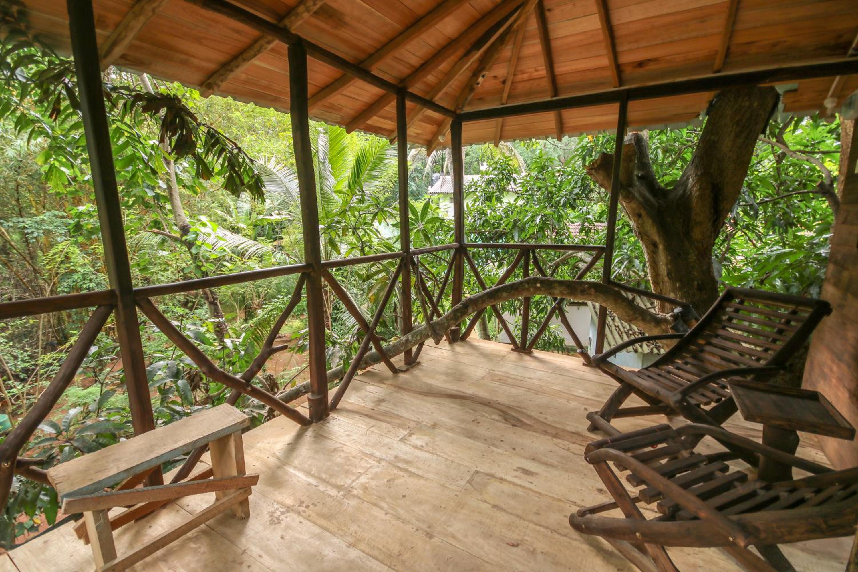 Green Park and Eco Tree House view 2