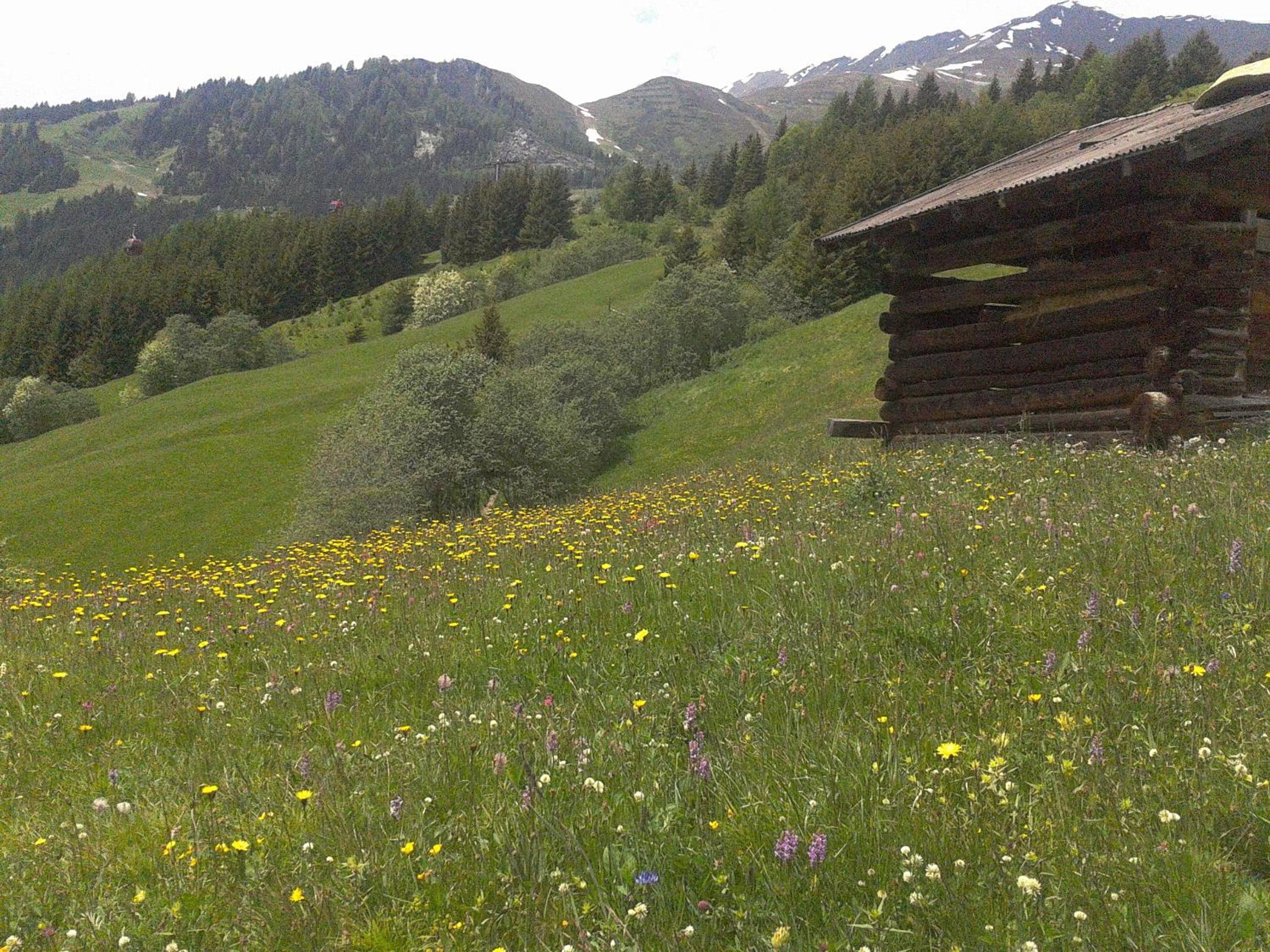 Apart Panoramablick