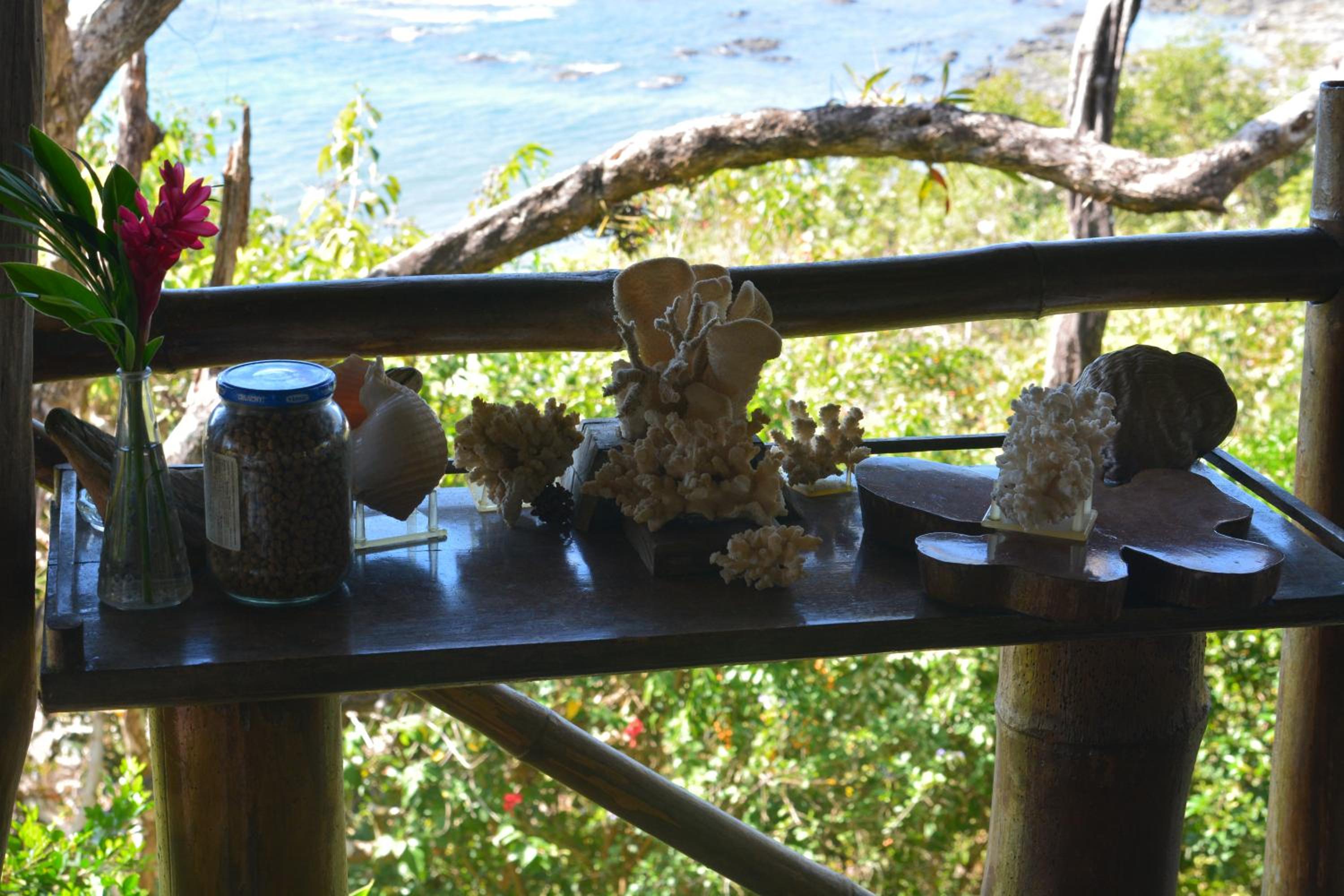 TreeTops Inn