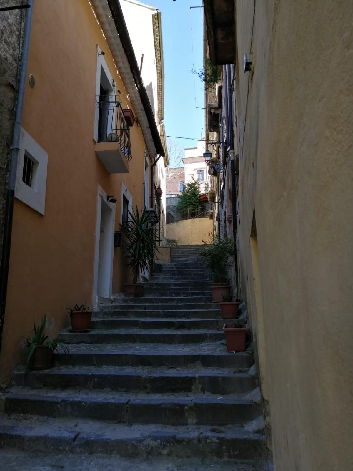 Old Garden