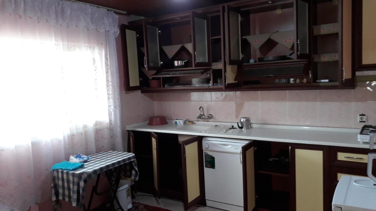 Photo 48
