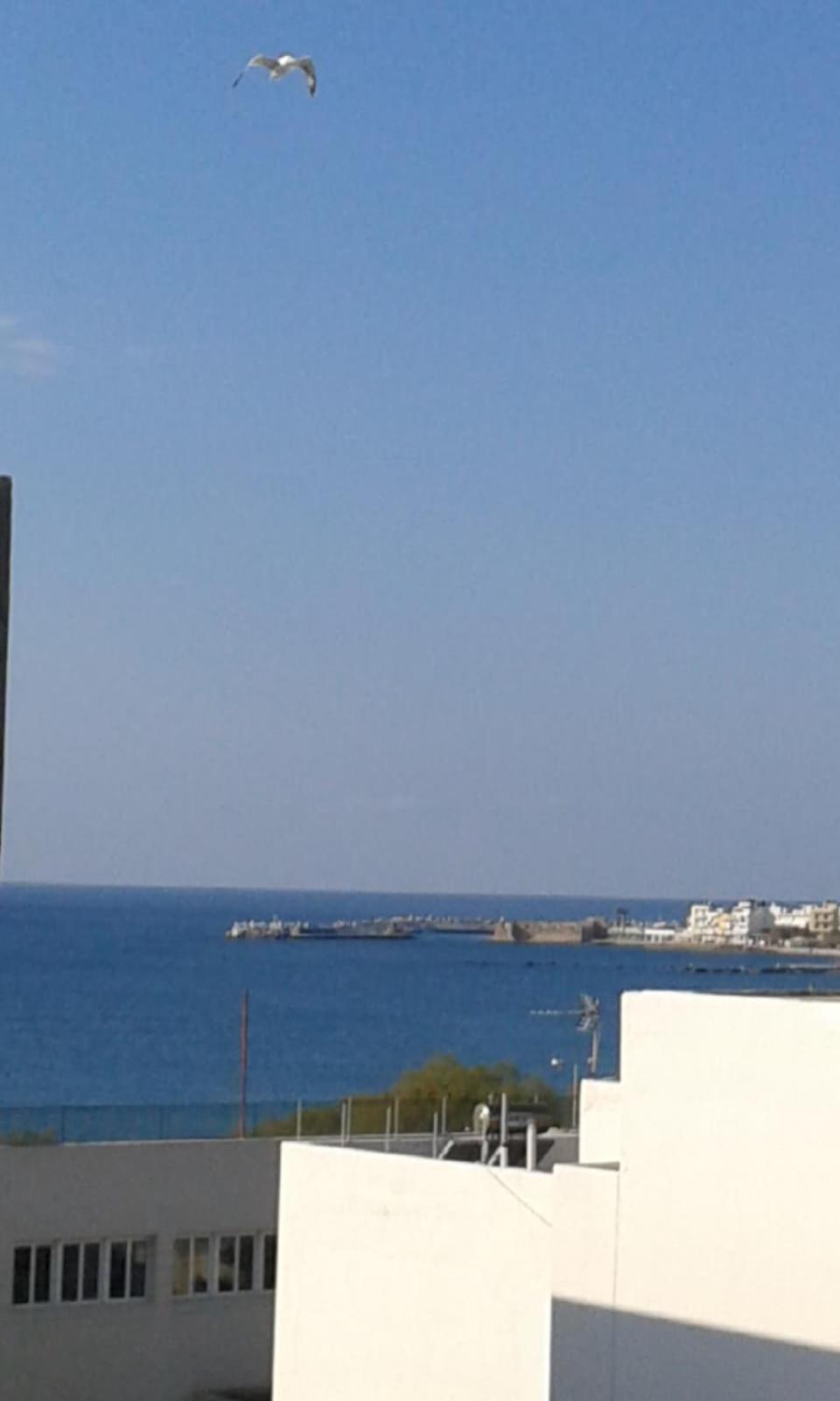 Comfy Apartment near the Sea