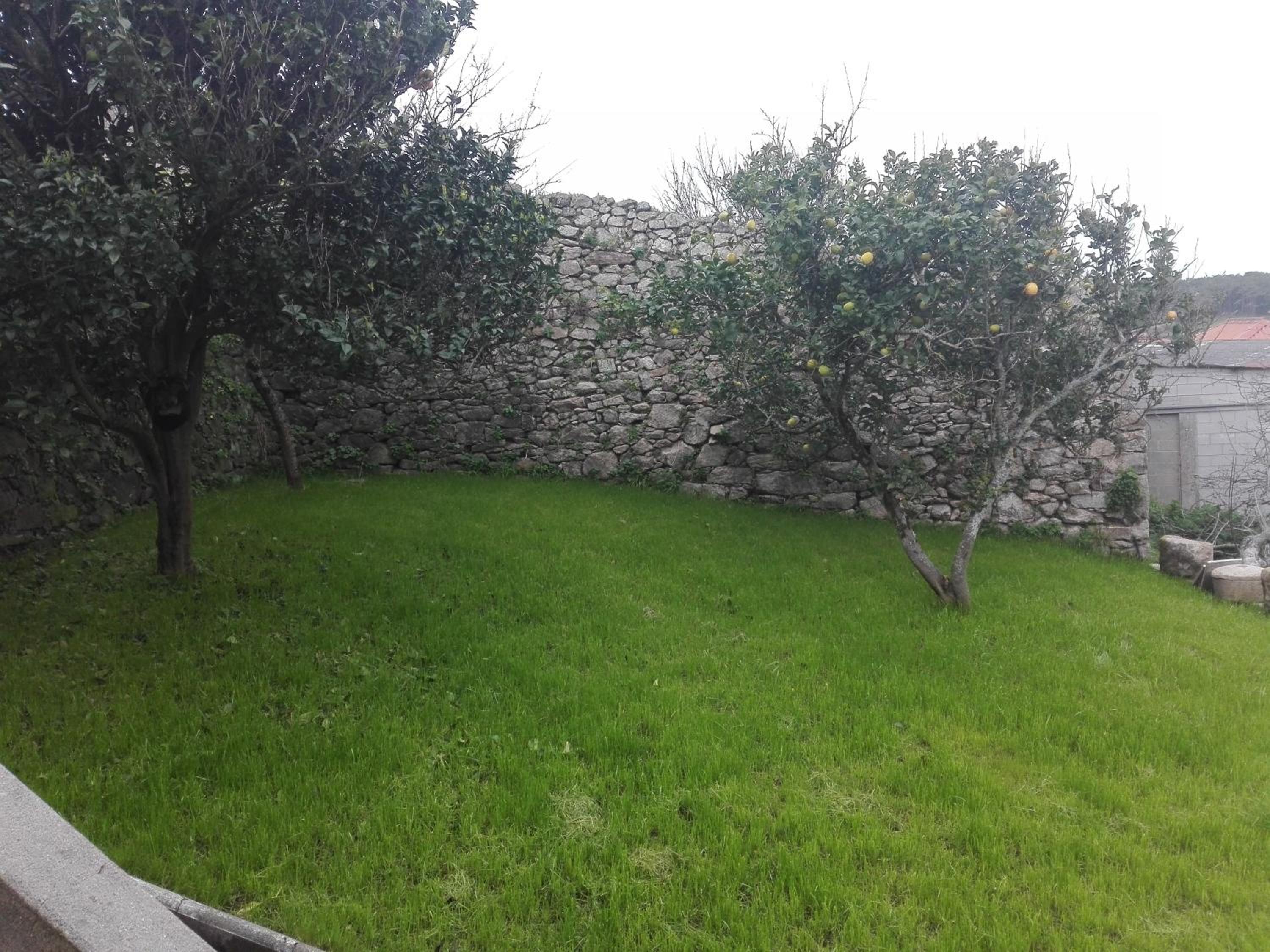 Photo 36