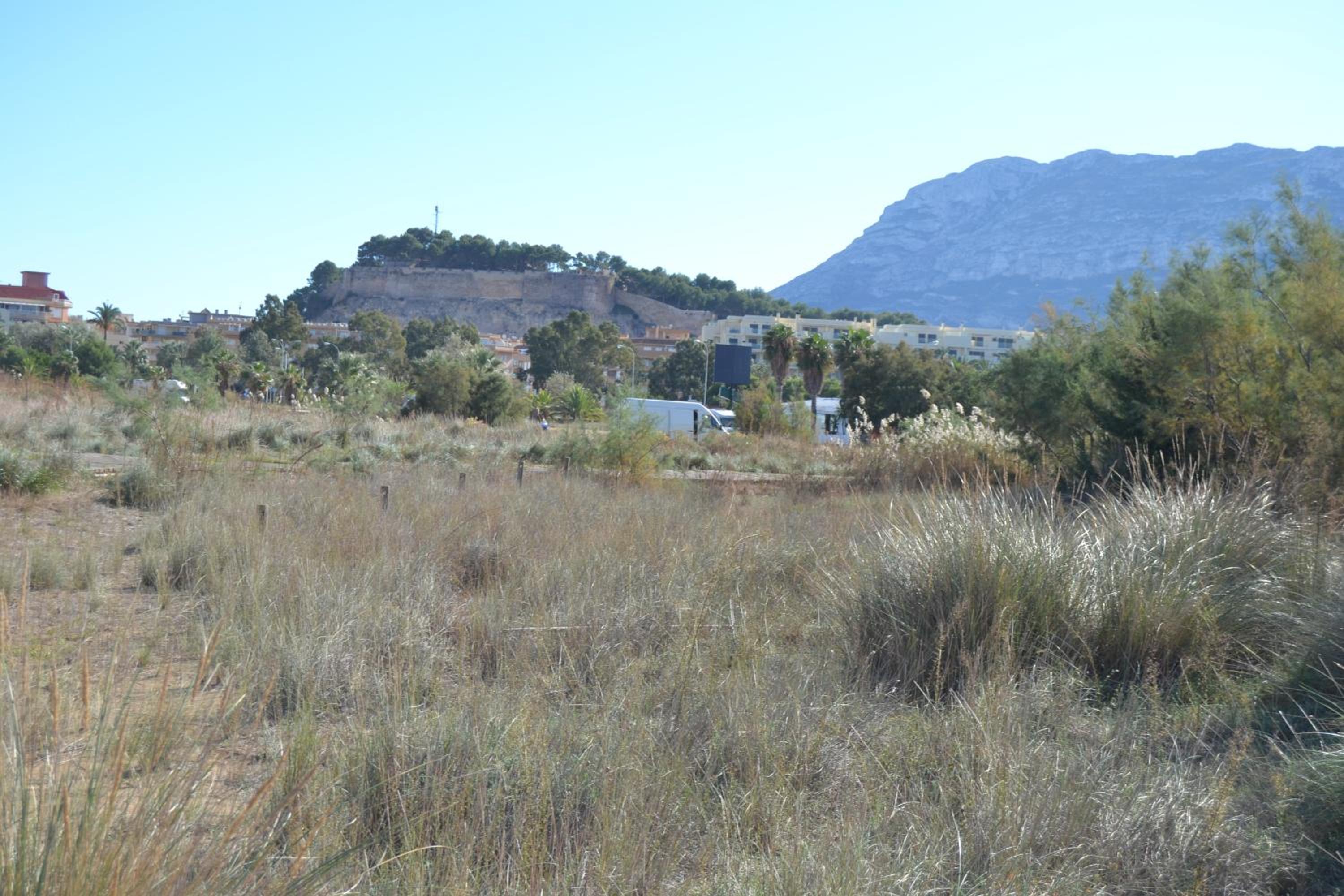 Albaranas LOCDENIA
