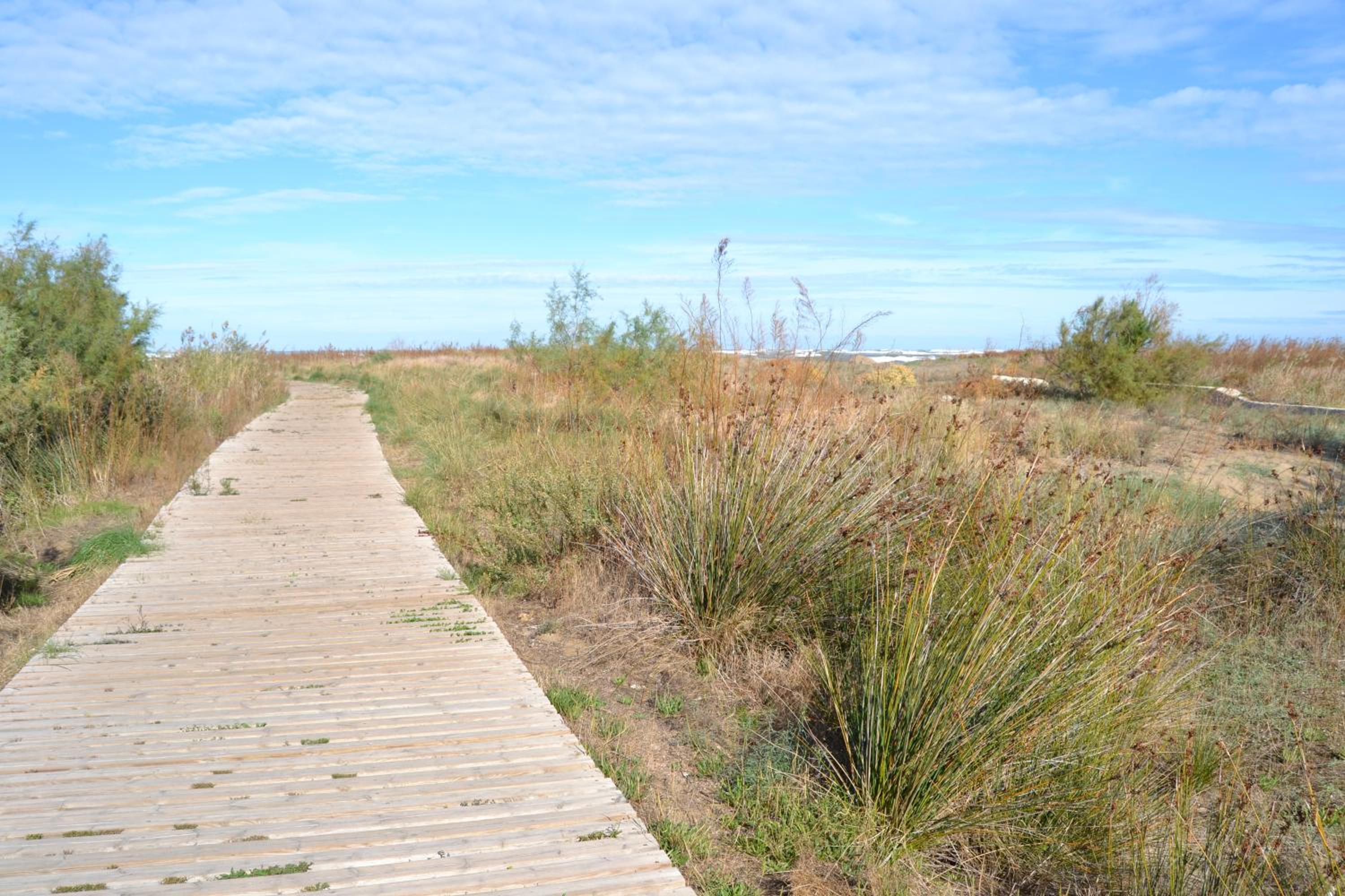 Albaranas LOCDENIA