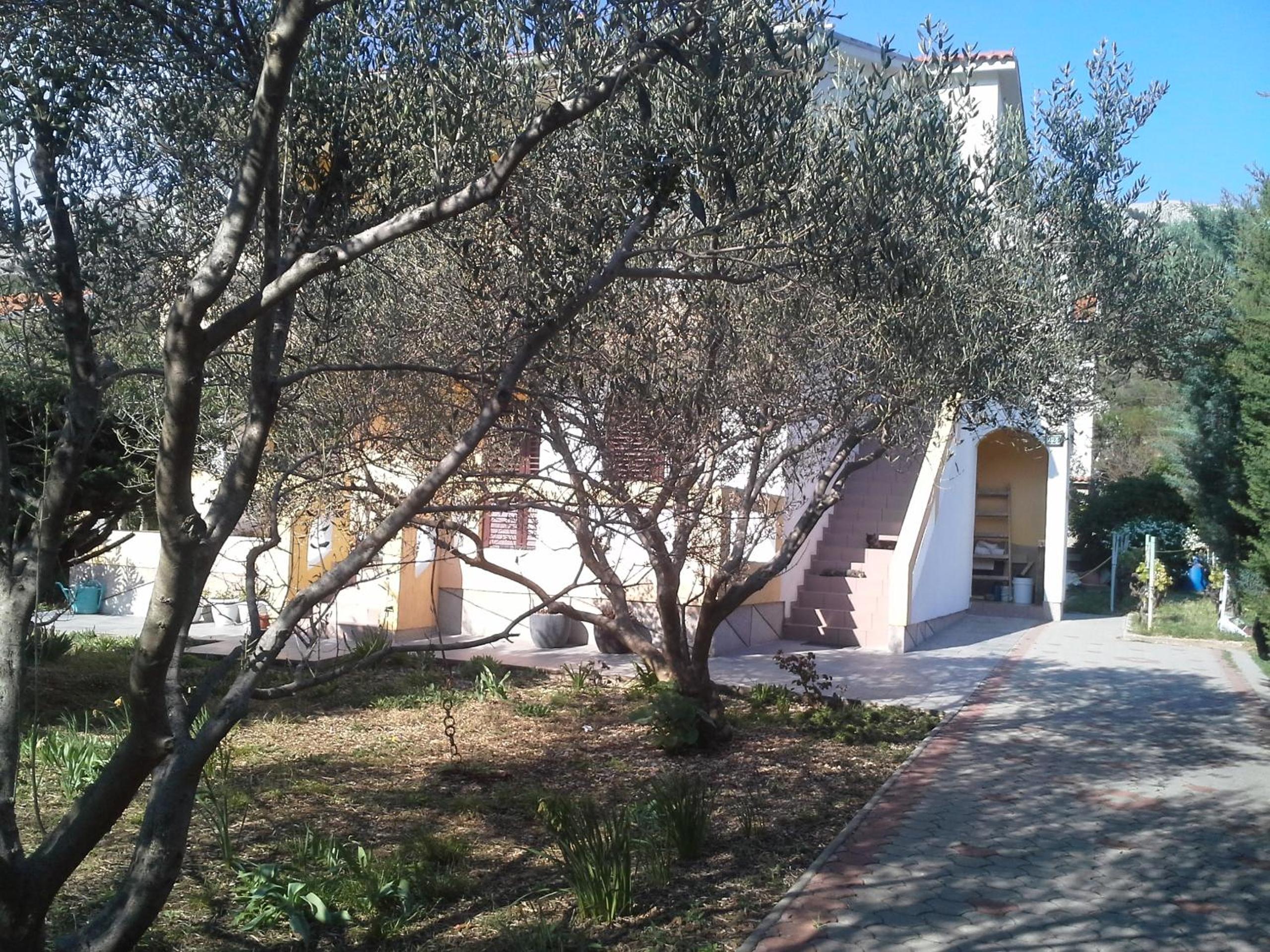Apartman Pavla view 3