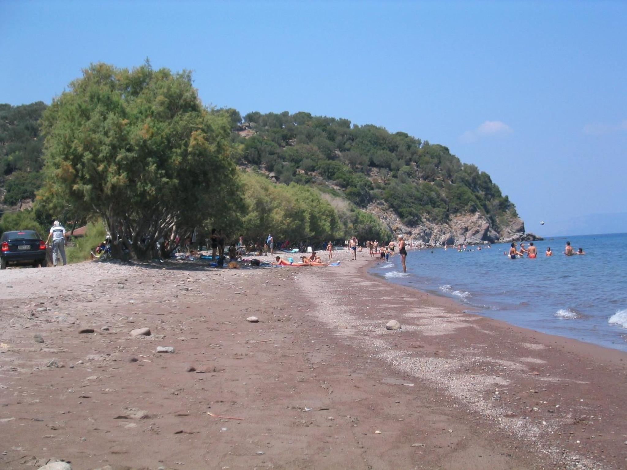 Photo 10