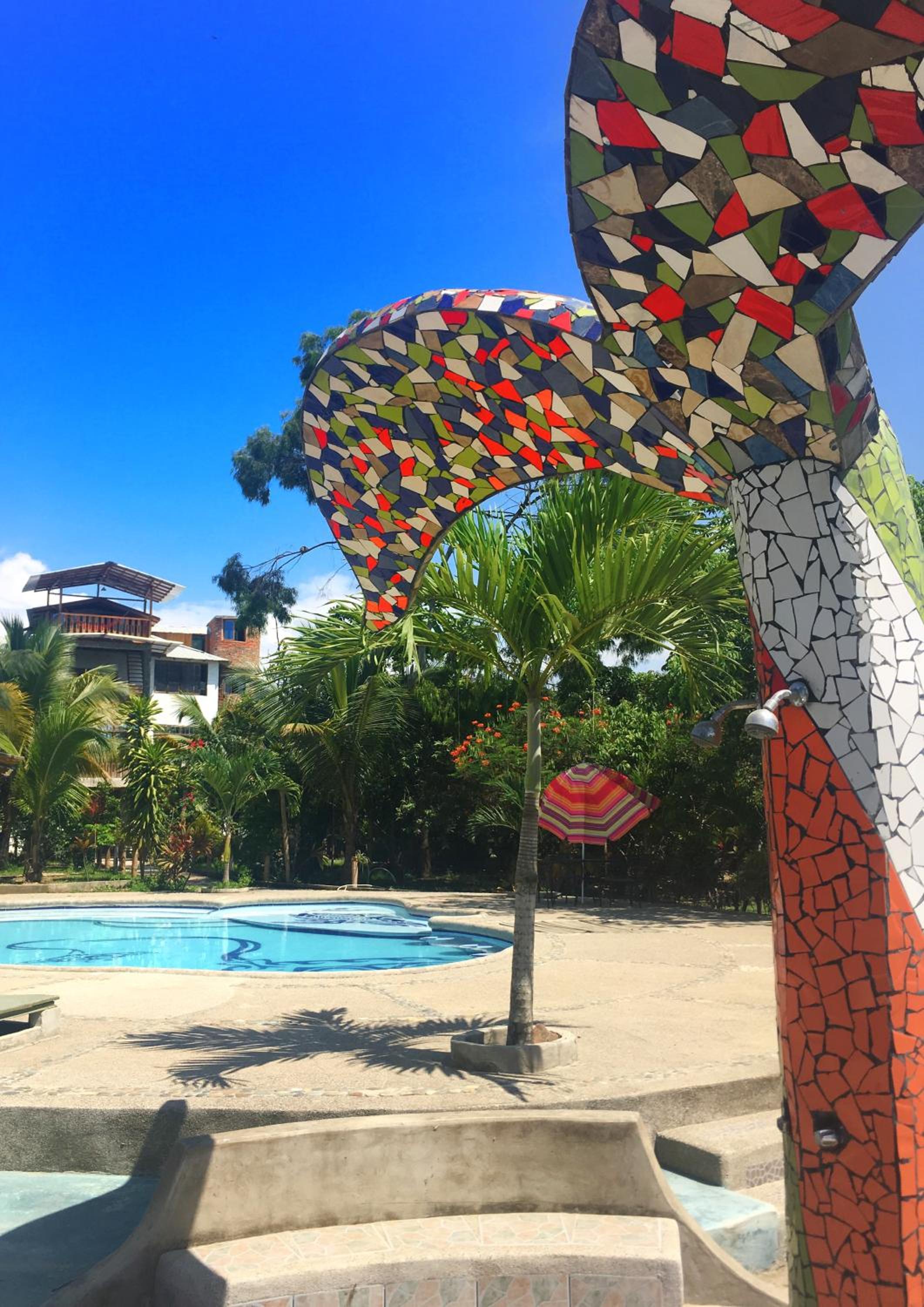 Bosque Marino Ecolodge view 5