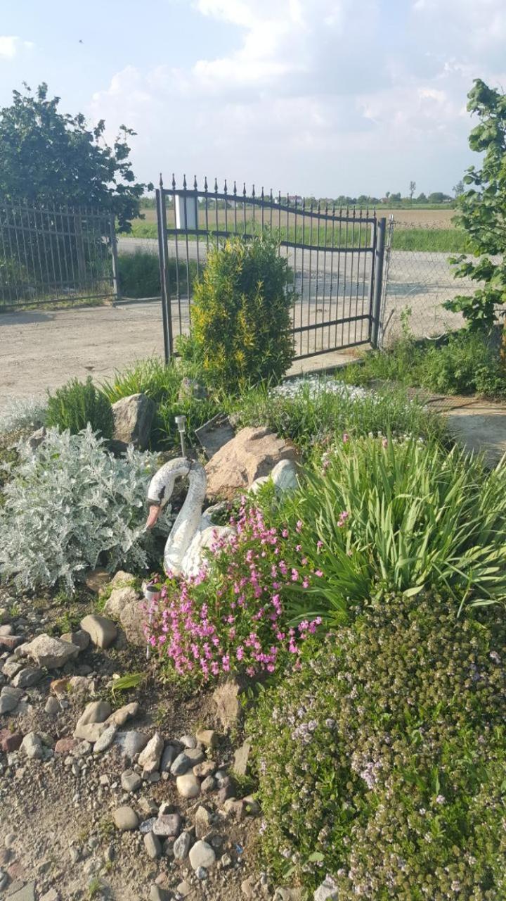 Photo 42