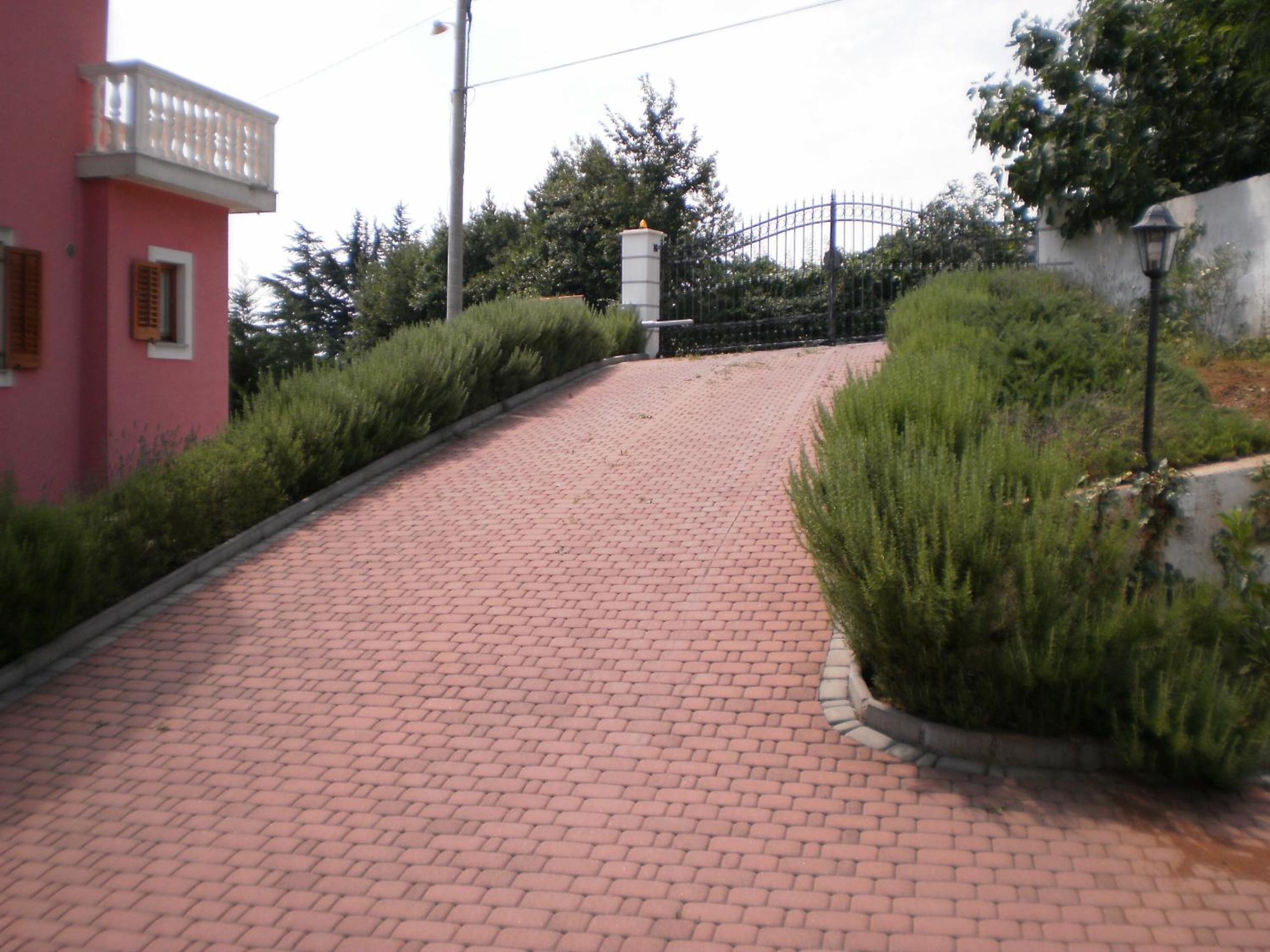 Photo 38
