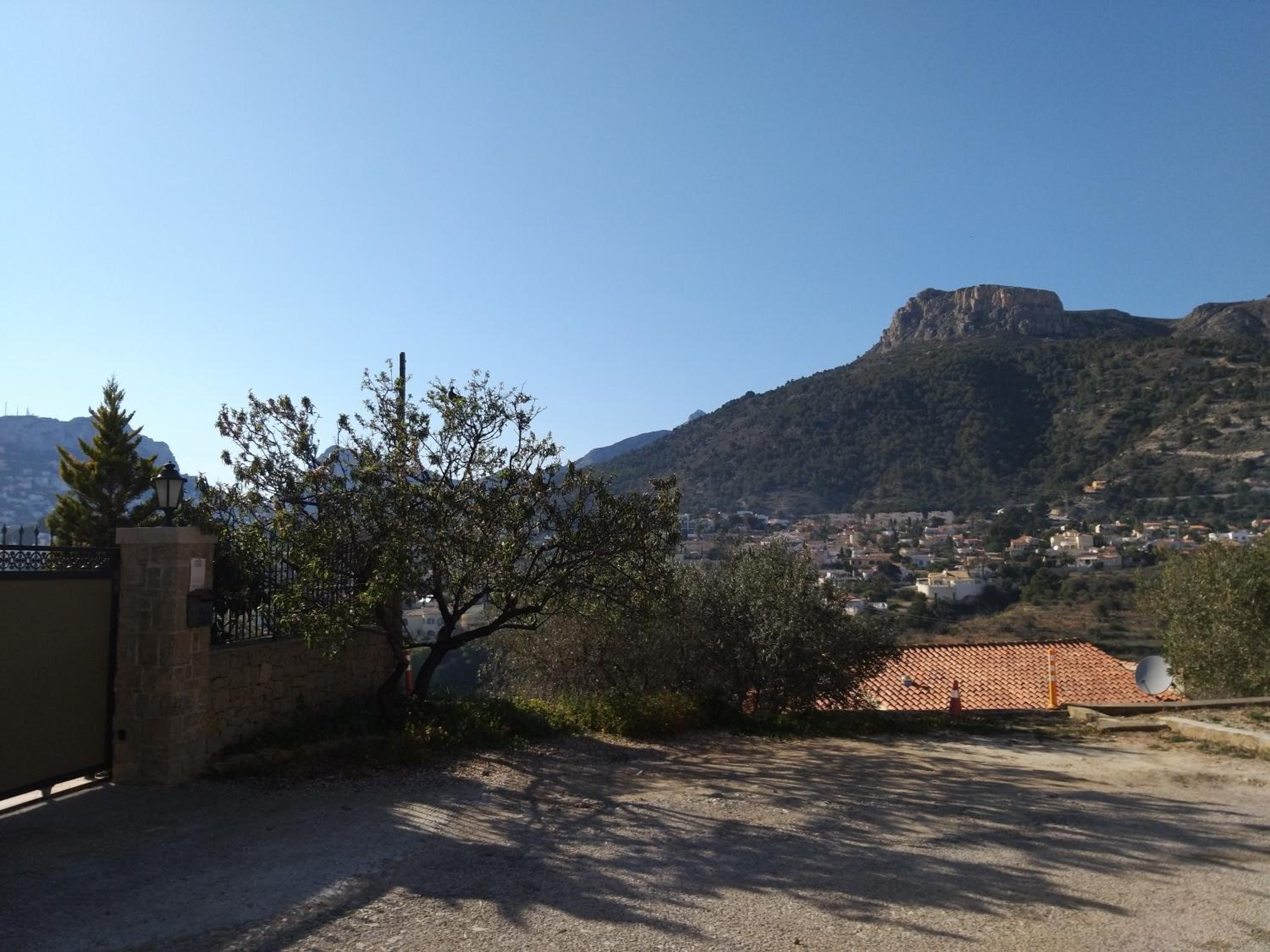 Photo 19