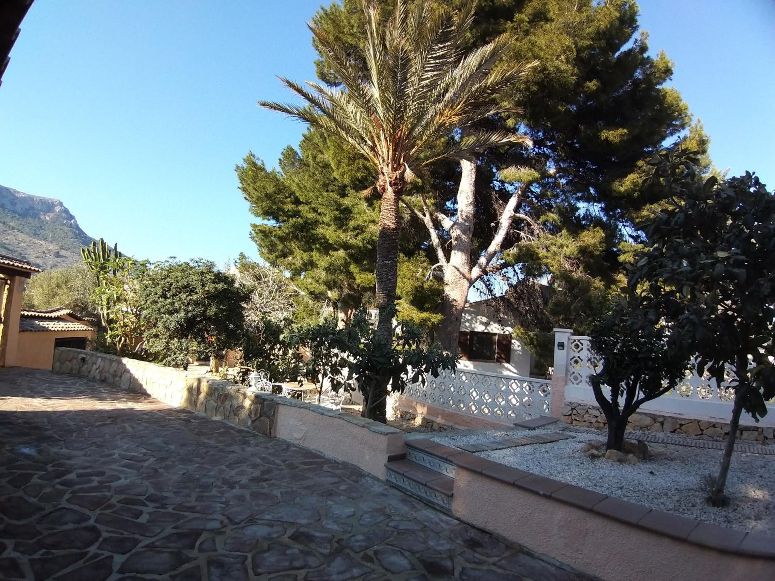 Photo 16
