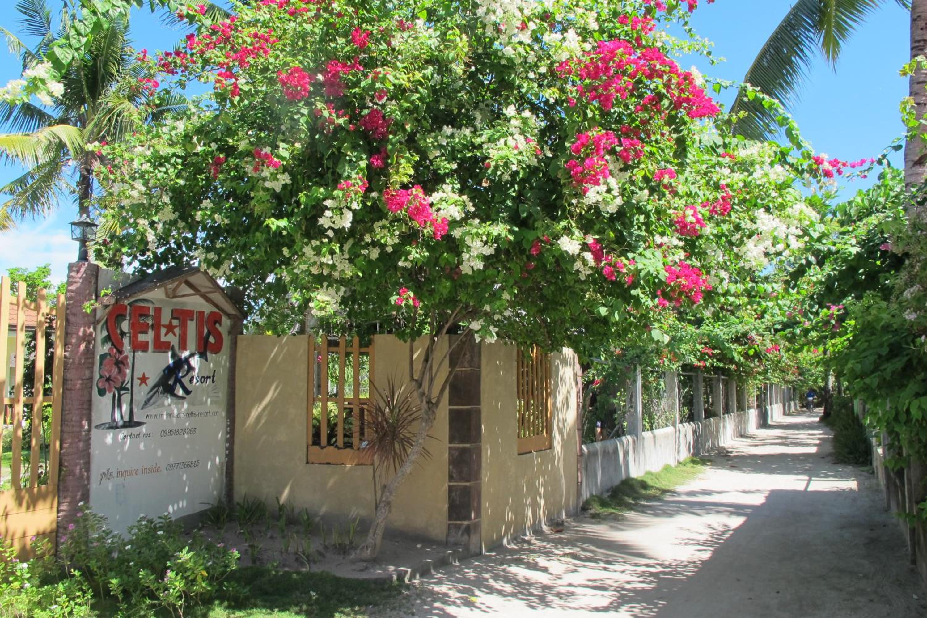 Celtis Resort