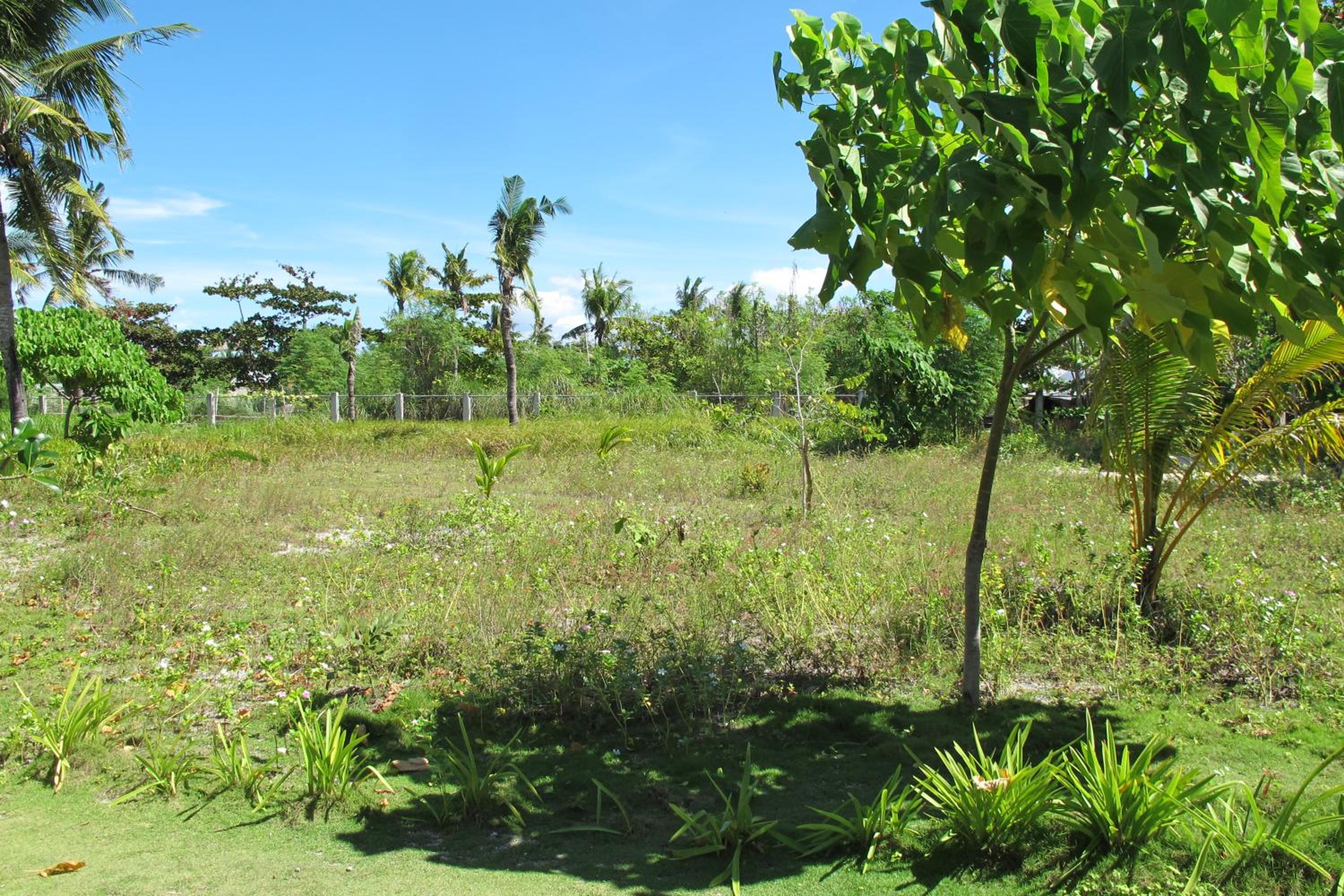 Celtis Resort