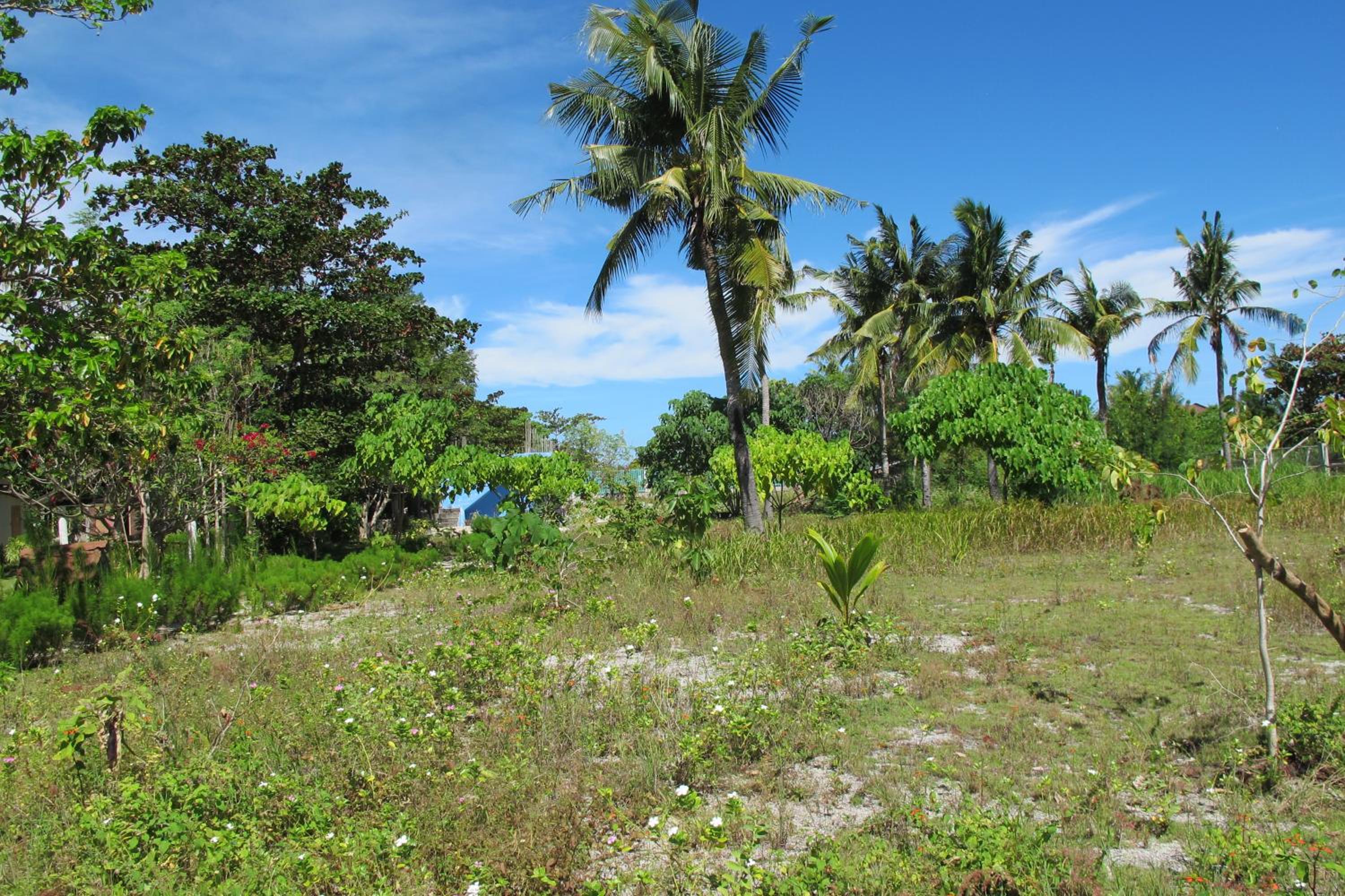 Celtis Resort