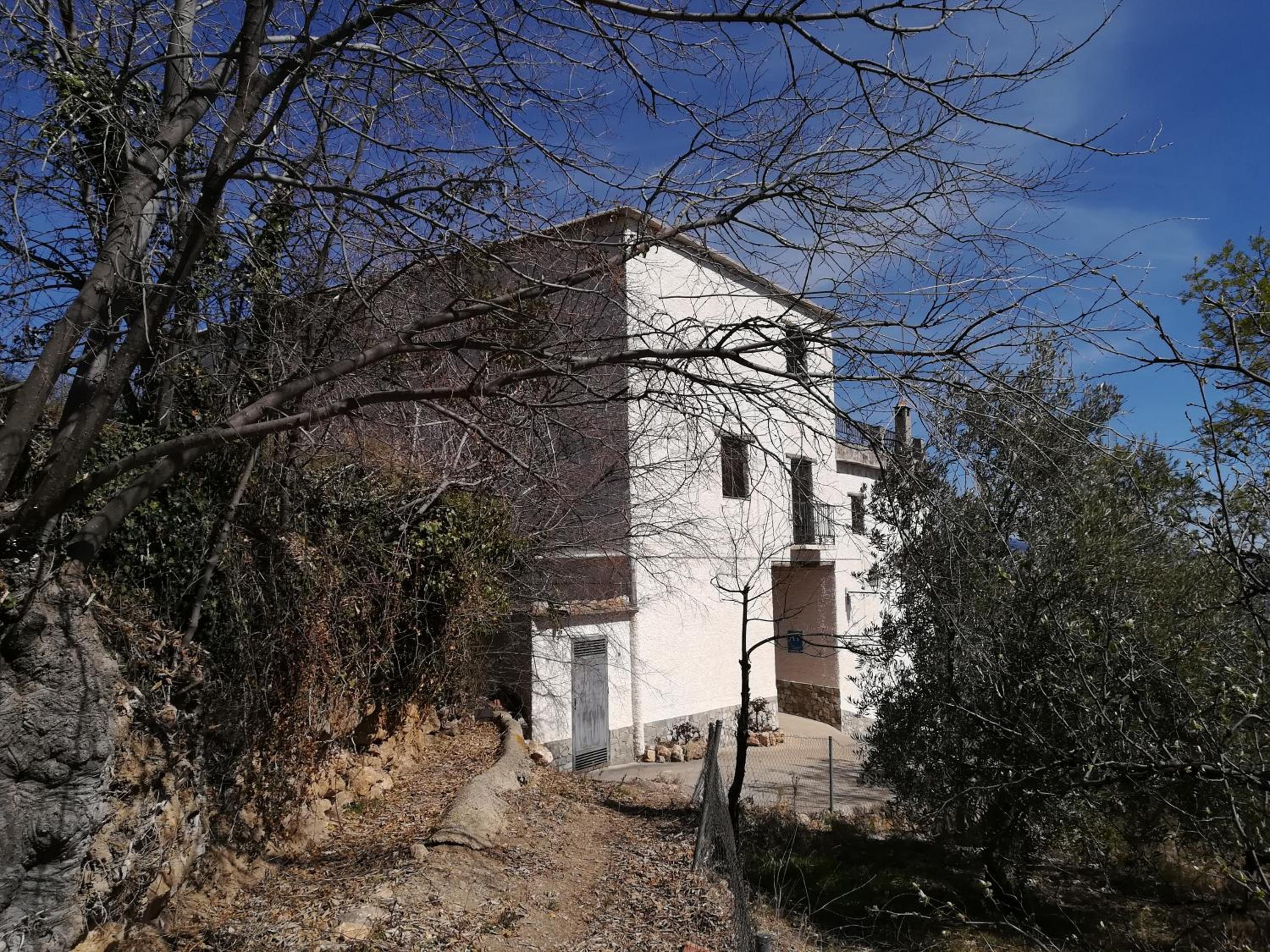 Photo 23