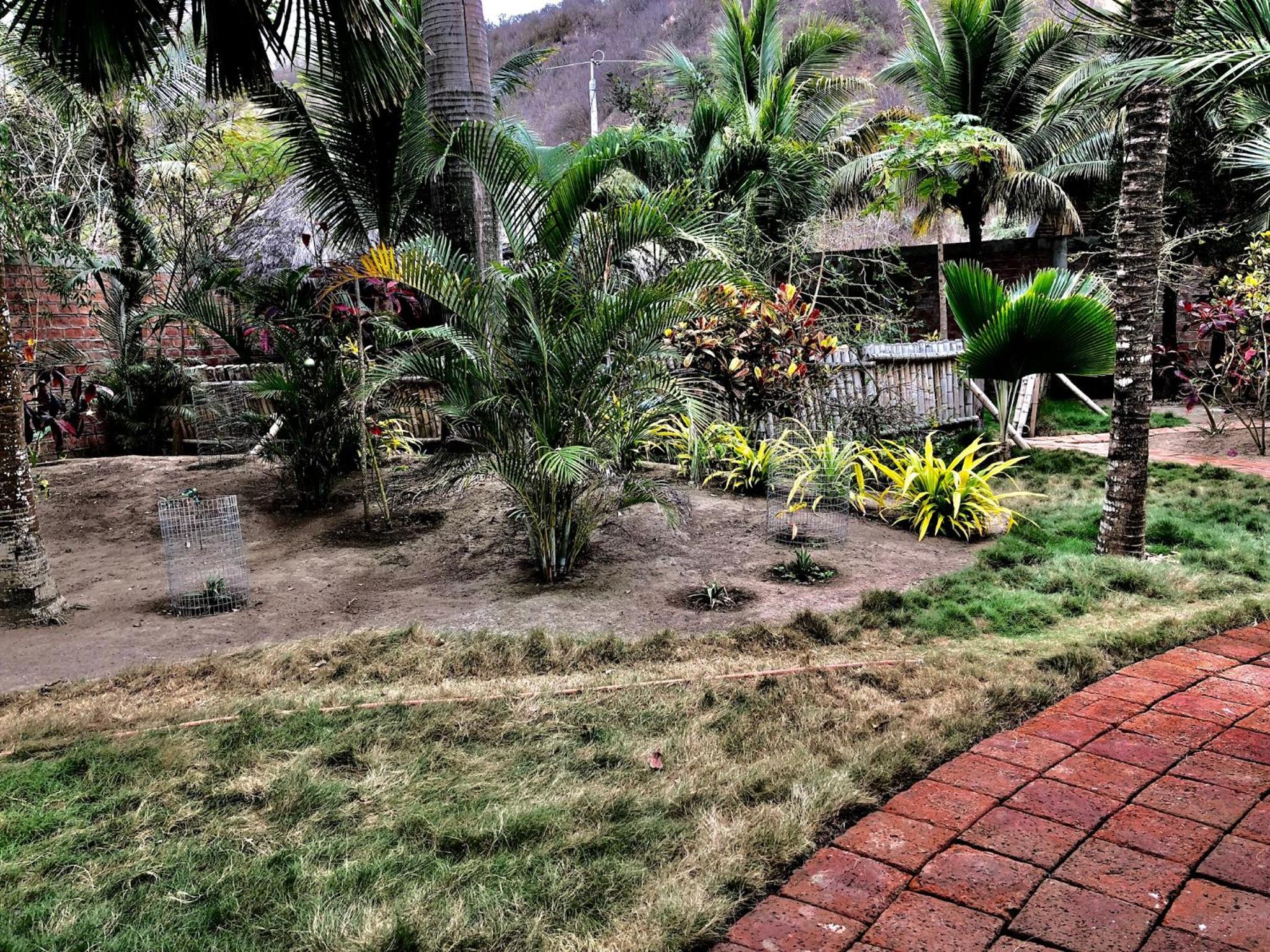 Photo 41