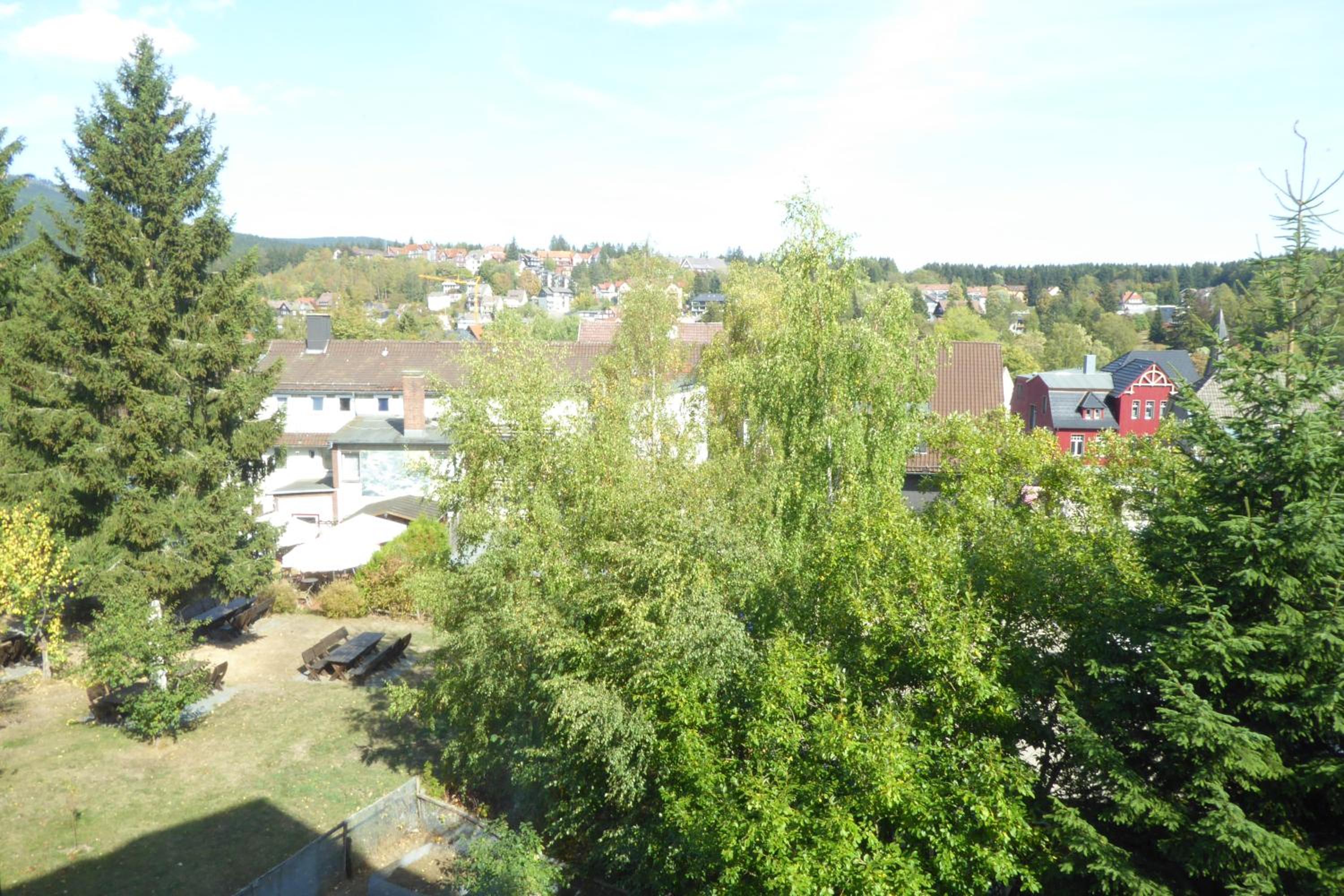 Bergblick-Braunlage view 4