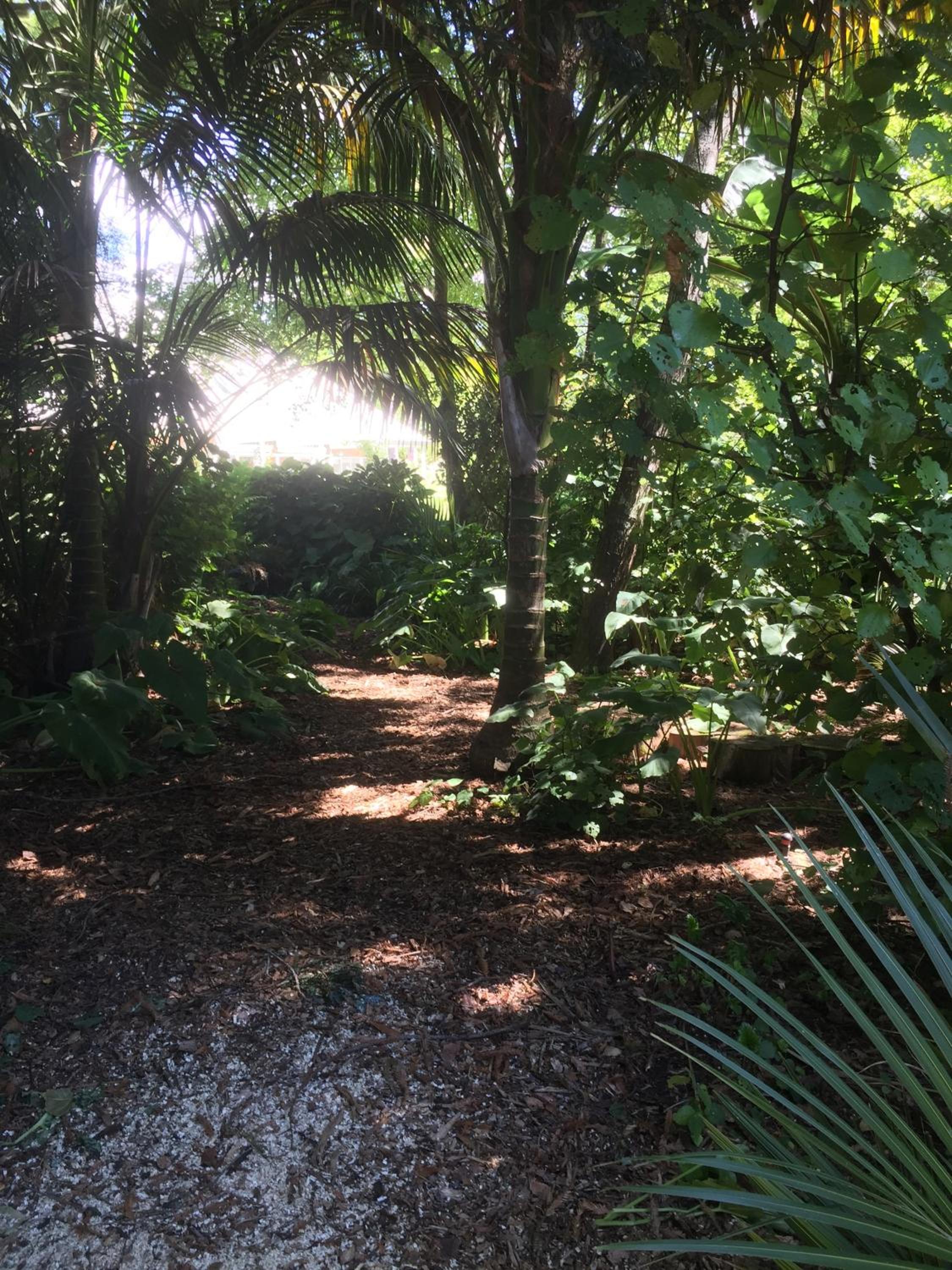 Photo 18