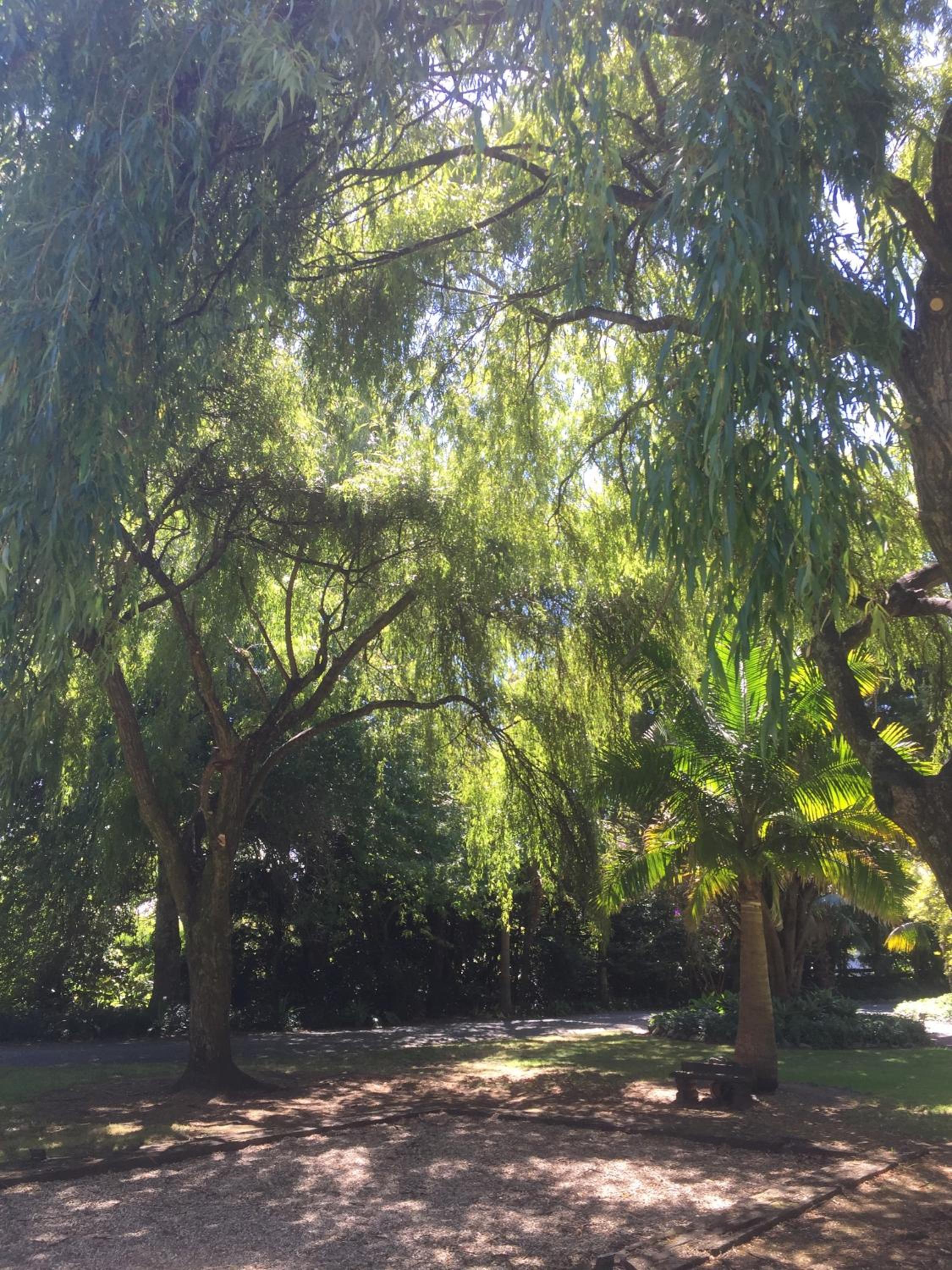 Photo 16