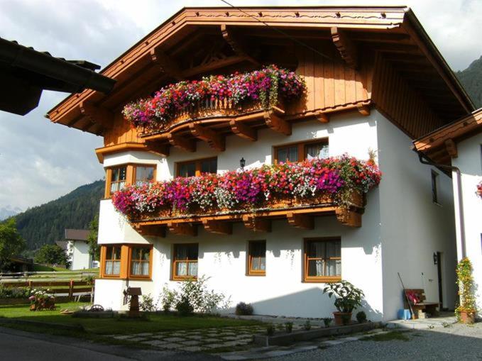 Sägehof