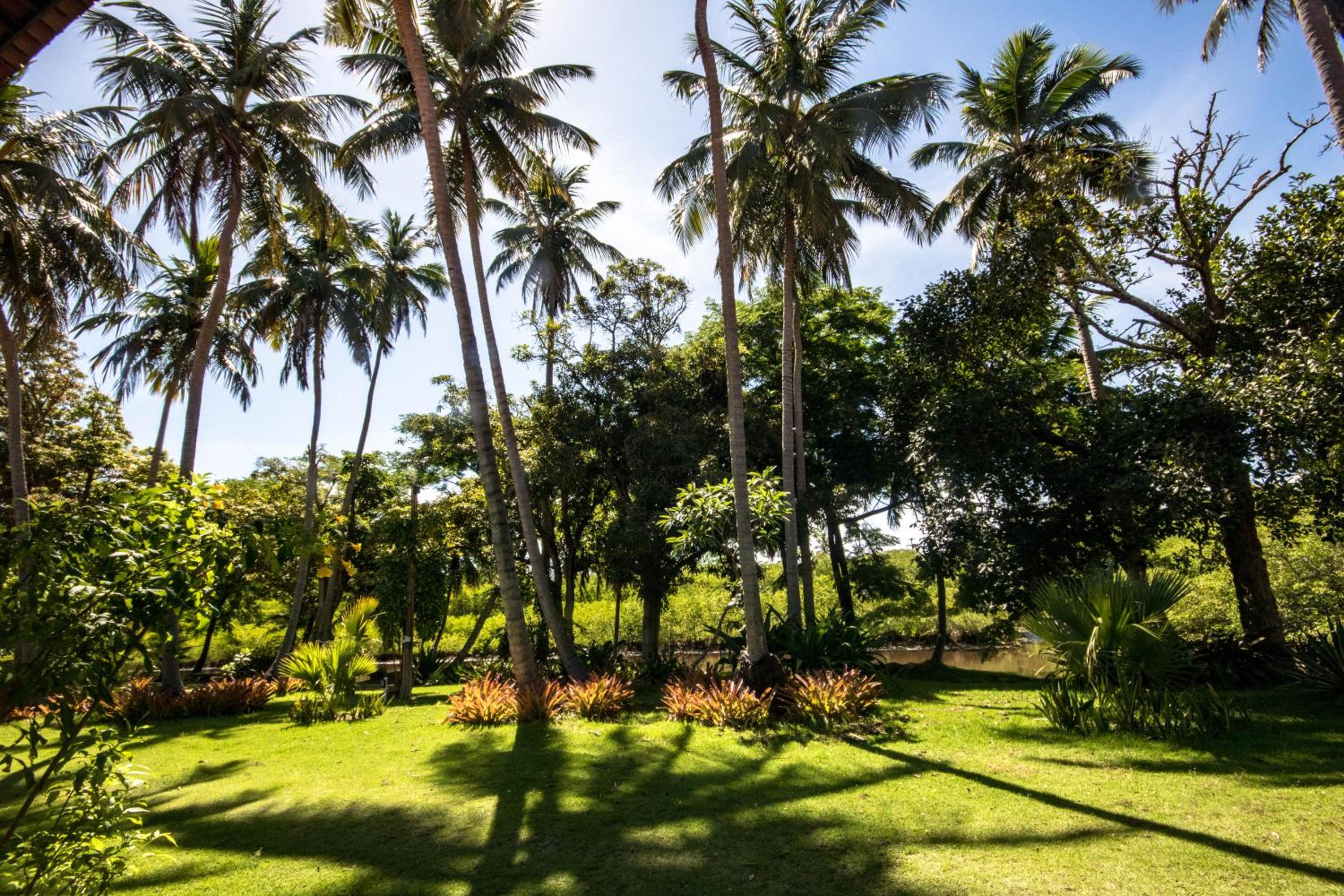 Eco Pousada Paraíso dos Coqueirais