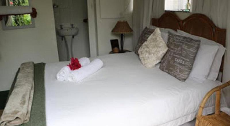 Forword's River Lodge view 5