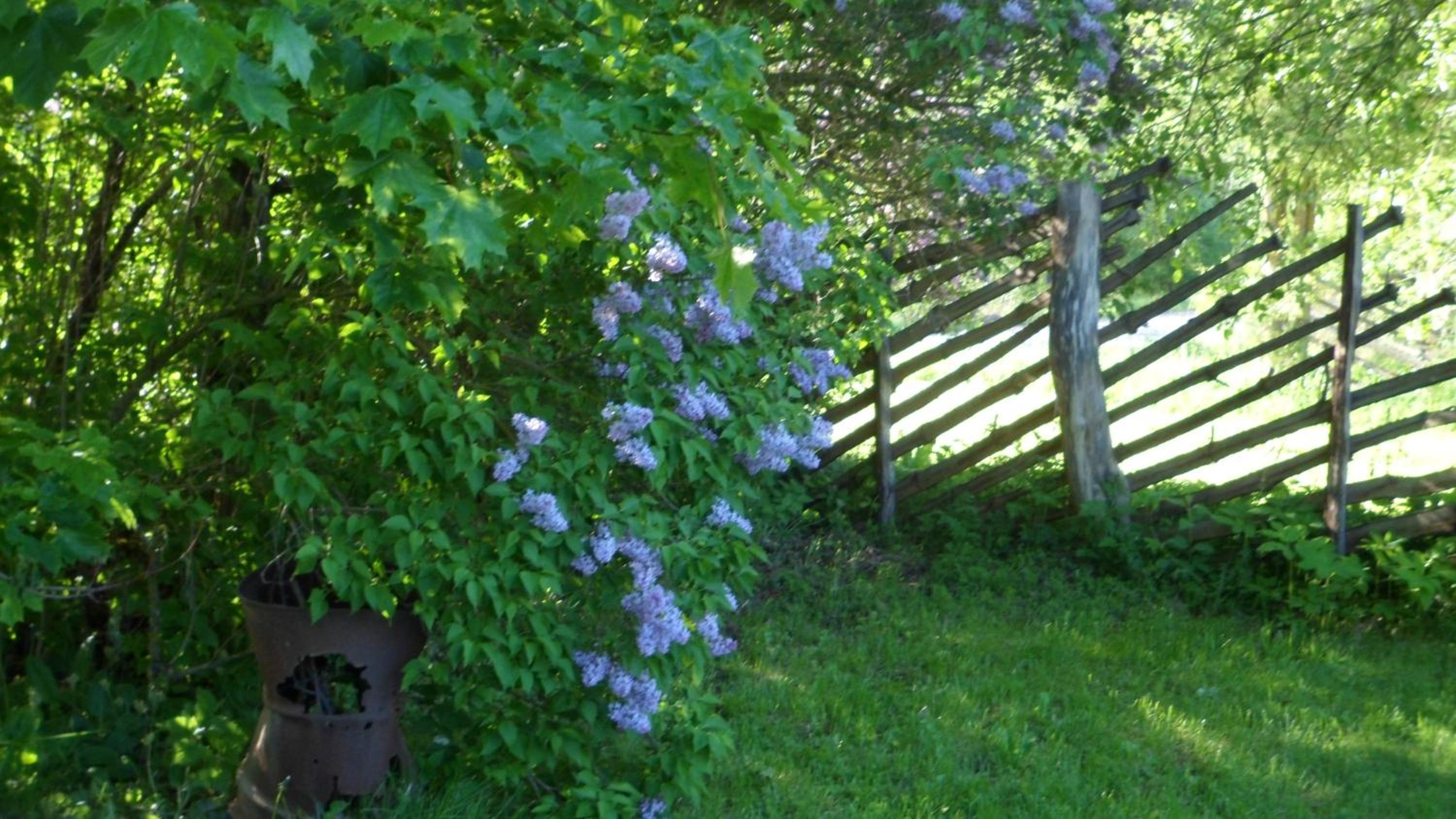 Photo 11