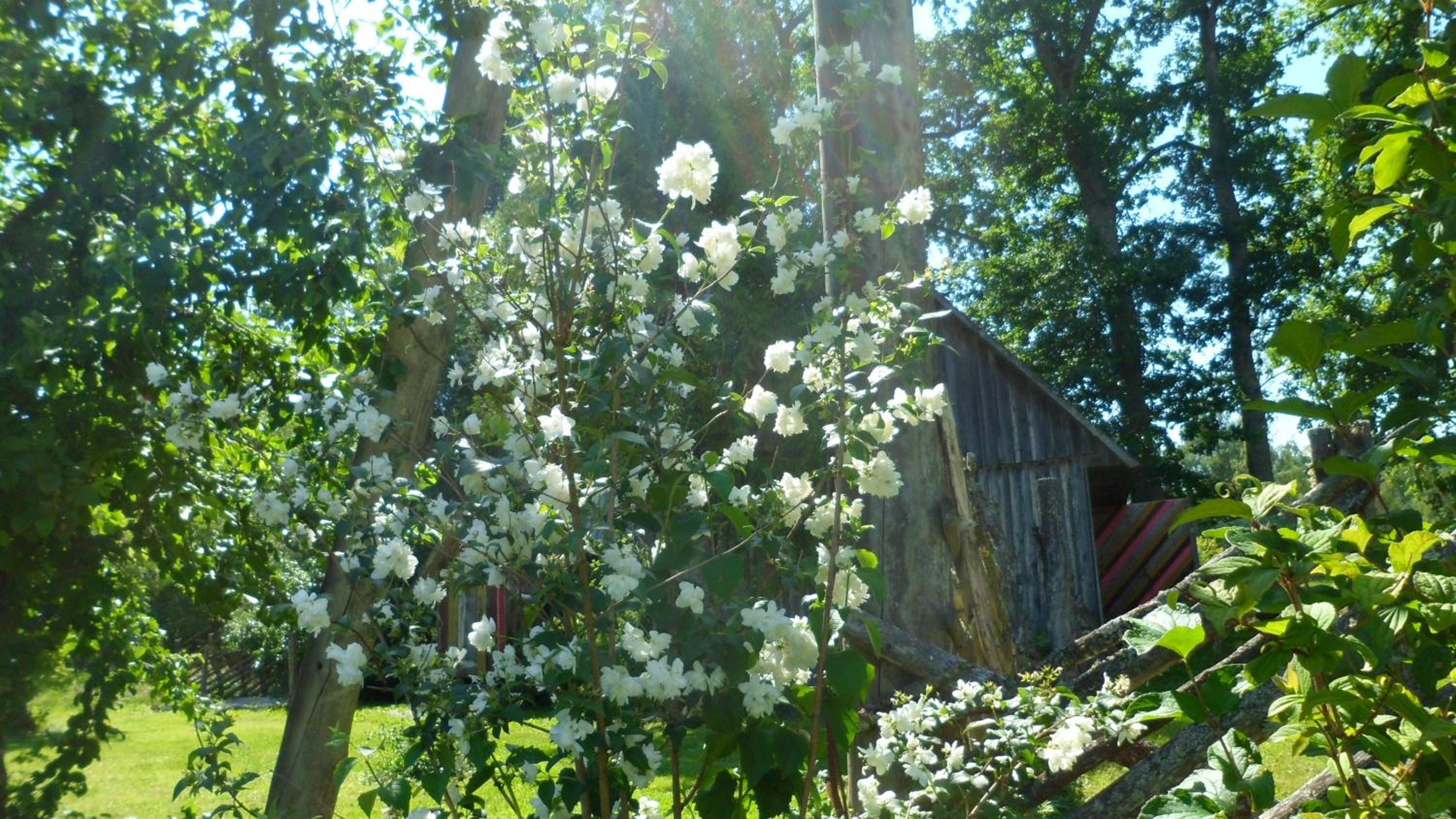 Photo 14
