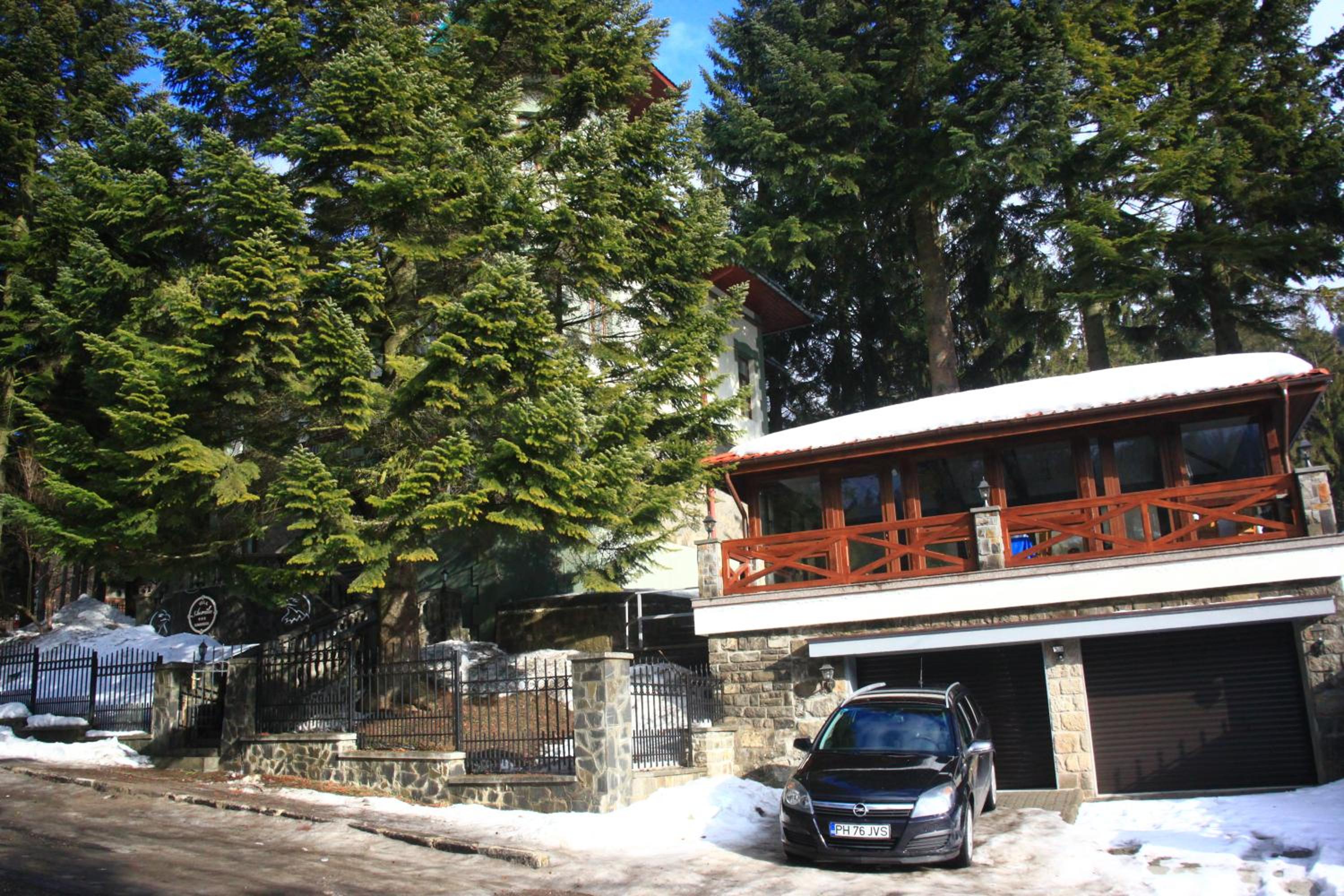Photo 44