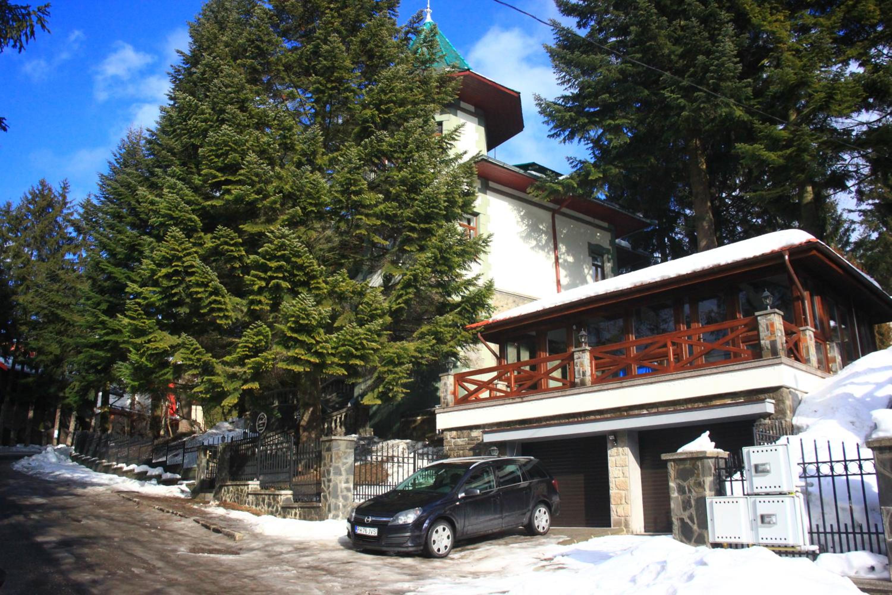 Photo 46